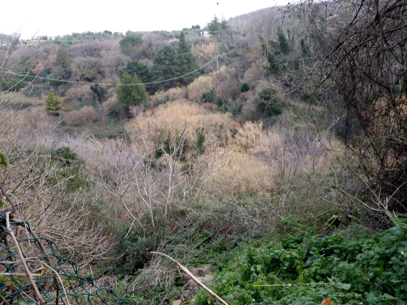 Terreno Agricolo in vendita a Viterbo, Bagnaia