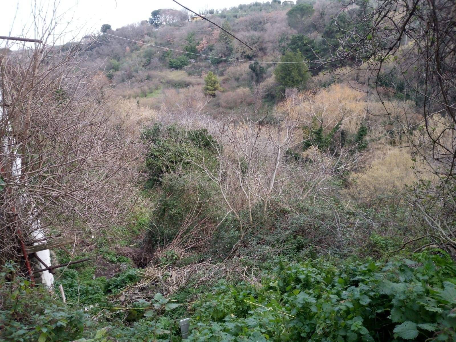 Terreno Agricolo in vendita a Viterbo, Bagnaia