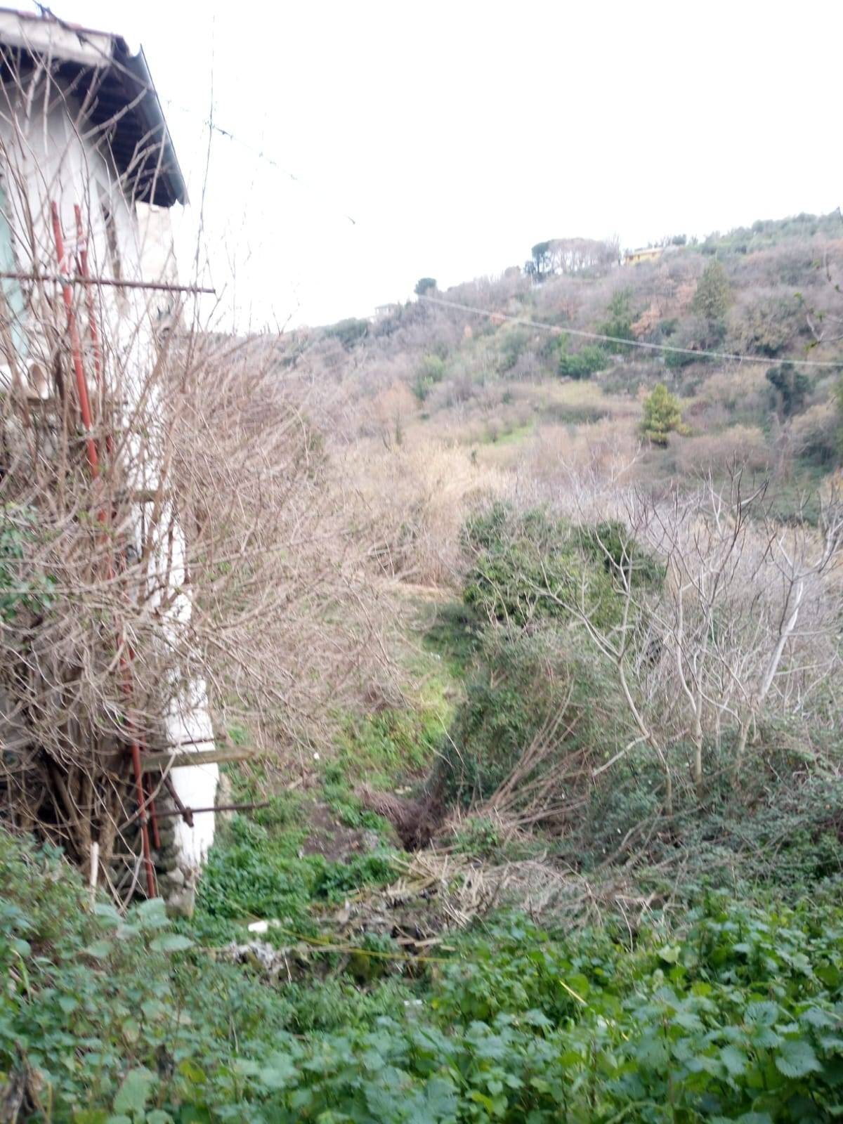 Terreno Agricolo in vendita a Viterbo, Bagnaia
