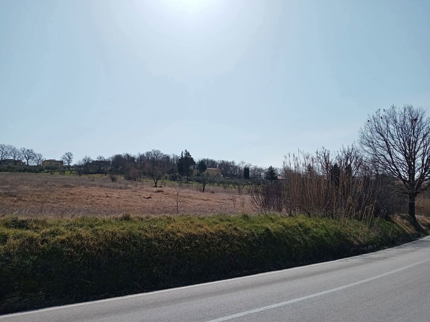 Terreno Agricolo in vendita a Campobasso