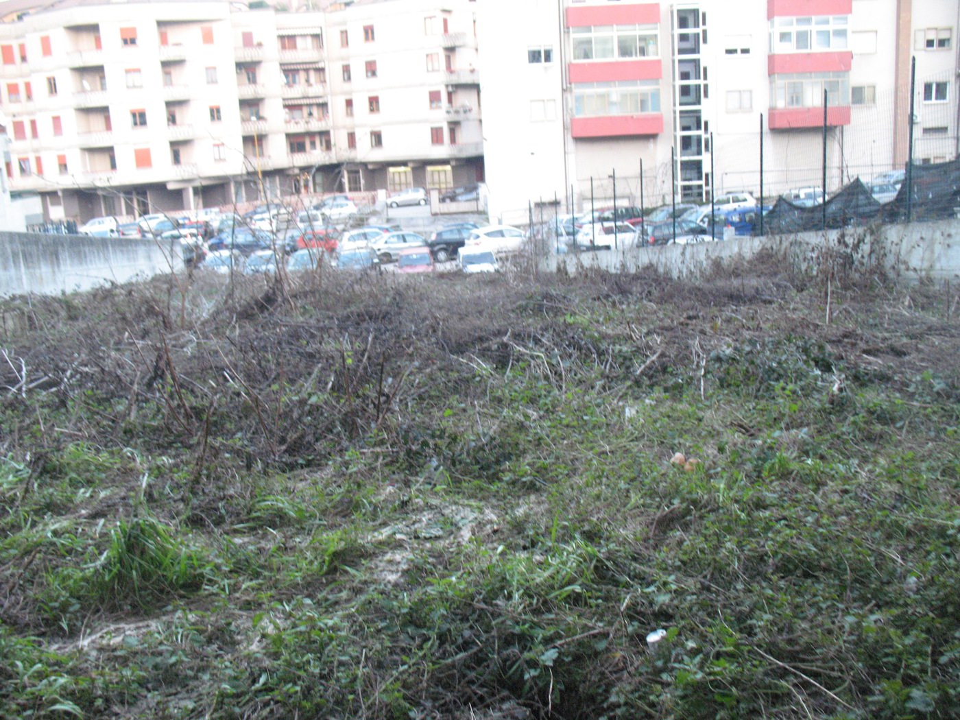 Negozio in vendita a Campobasso