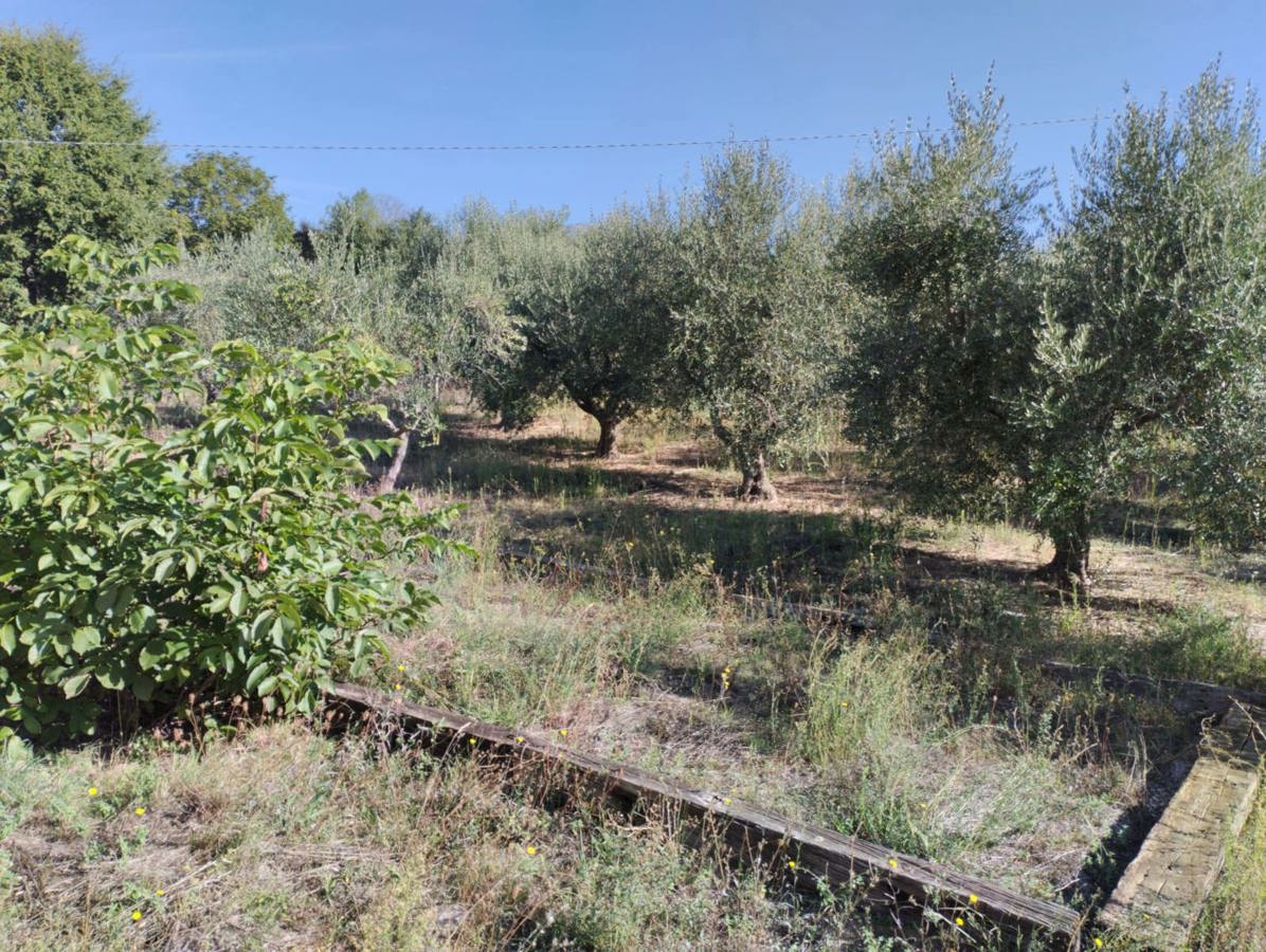 Villa Bifamiliare in vendita a Campodipietra