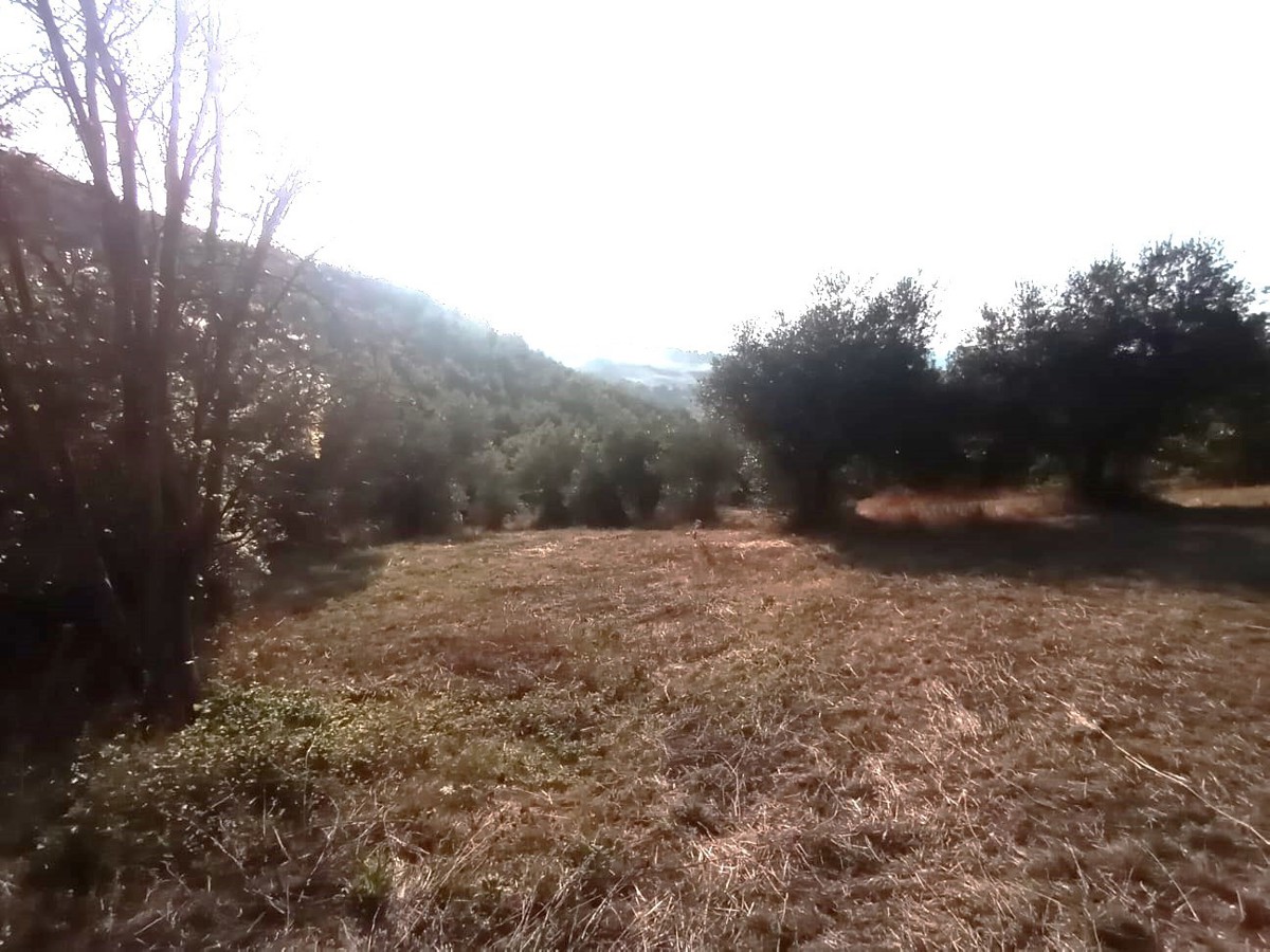 Rustico con giardino a Gildone