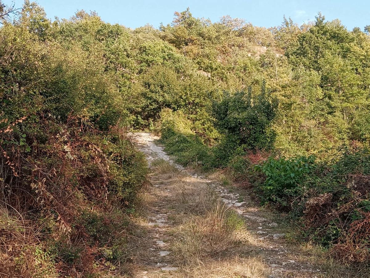 Rustico con giardino a Gildone