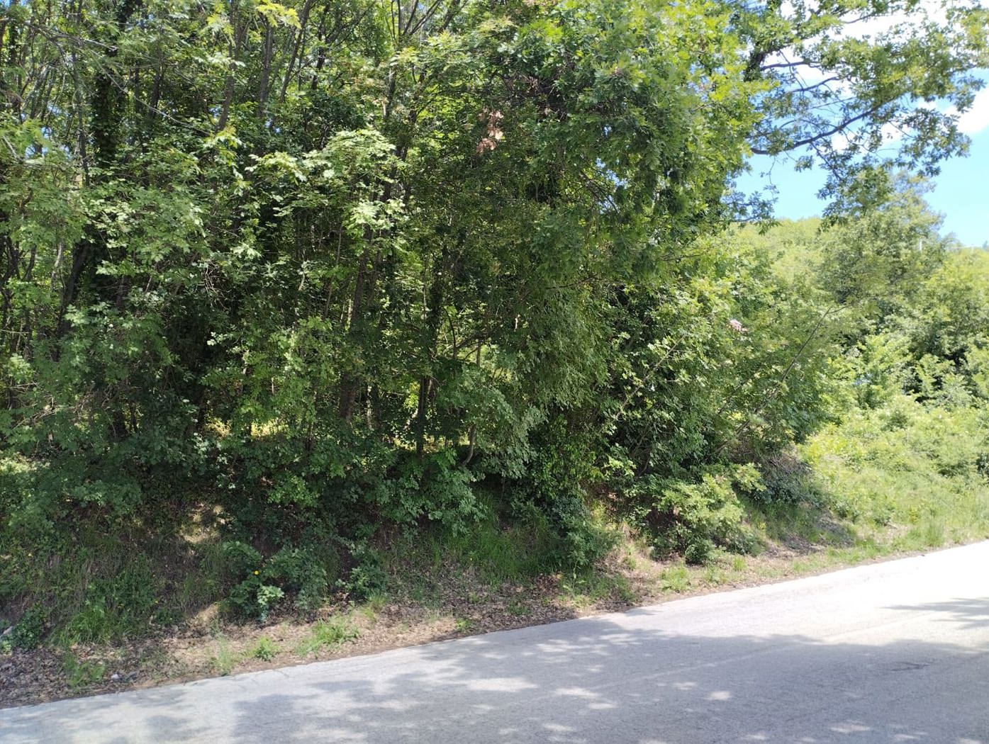 Terreno Agricolo in vendita a Oratino