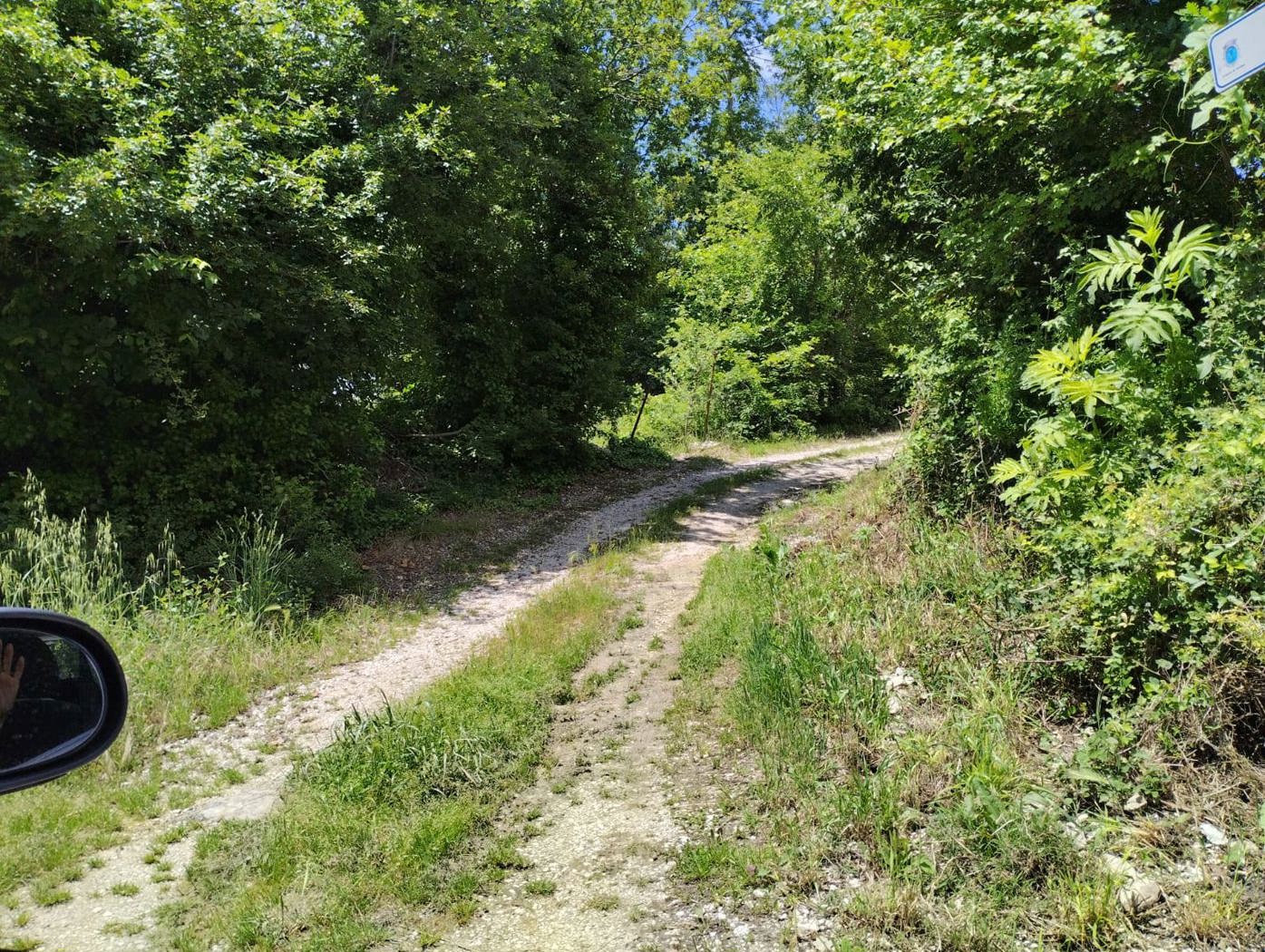 Terreno Agricolo in vendita a Oratino
