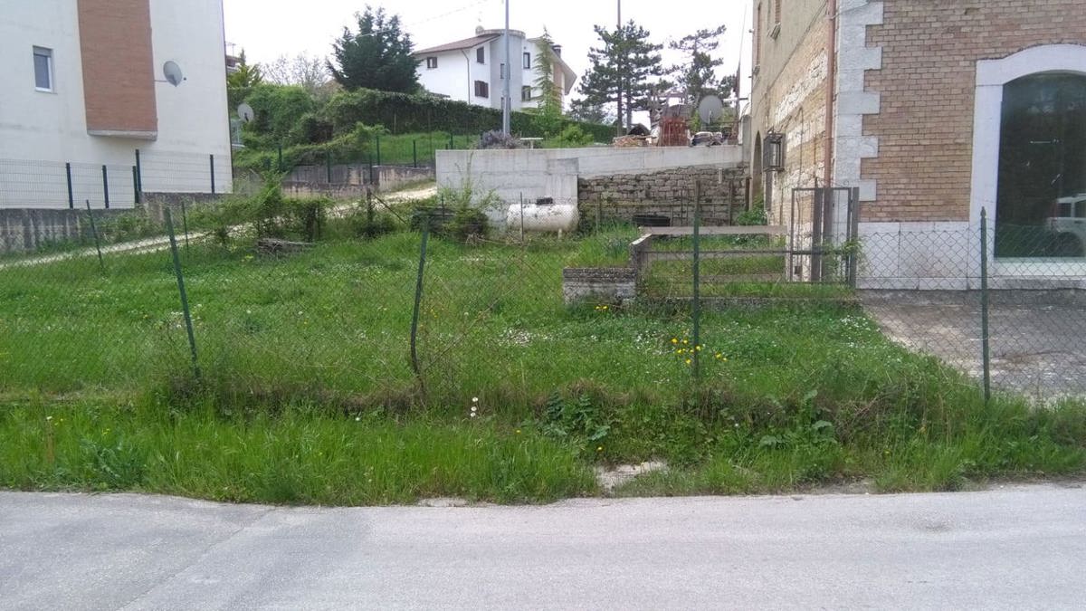 immagine annuncio 2 di 8