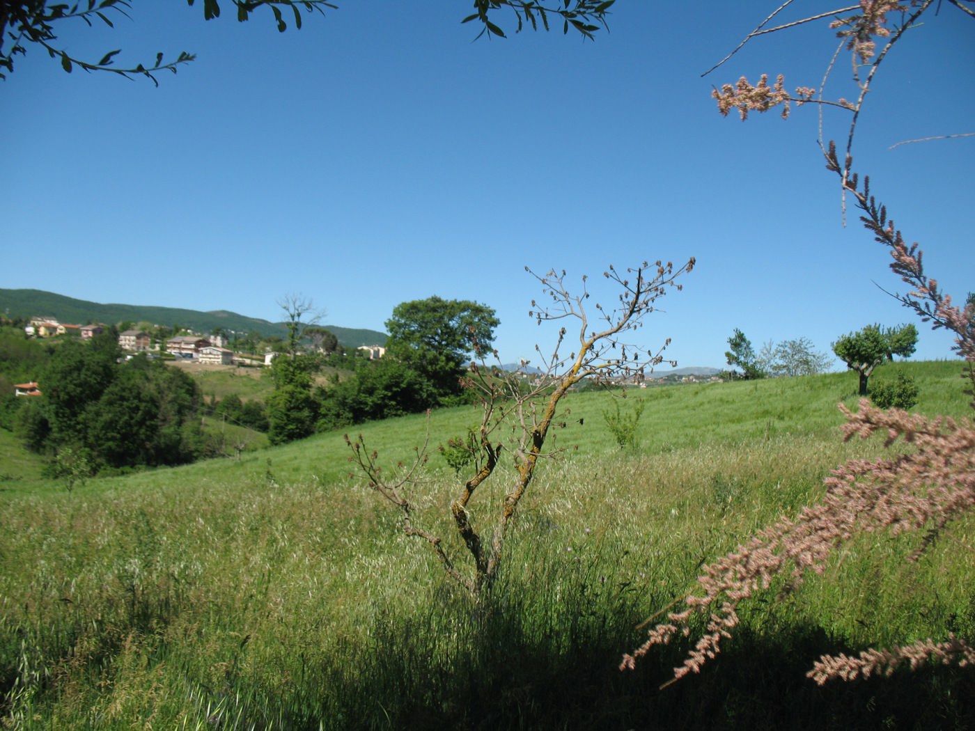 Terreno Agricolo in vendita a Campobasso