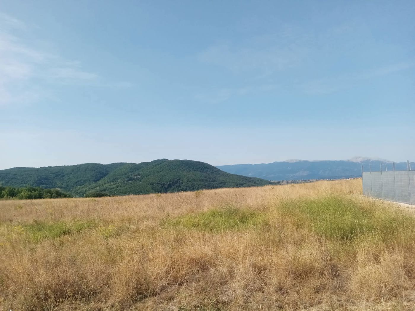 Terreno Agricolo in vendita a Oratino