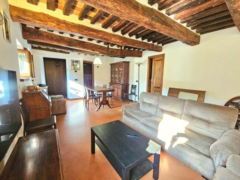 Trilocale ristrutturato, Massa e Cozzile massa