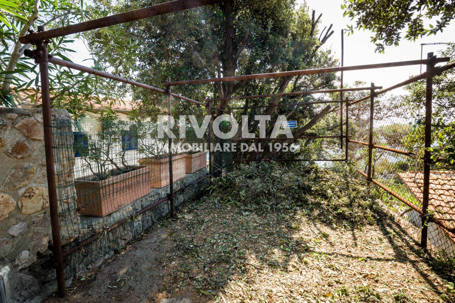 Villa in affitto a Orbetello, Ansedonia