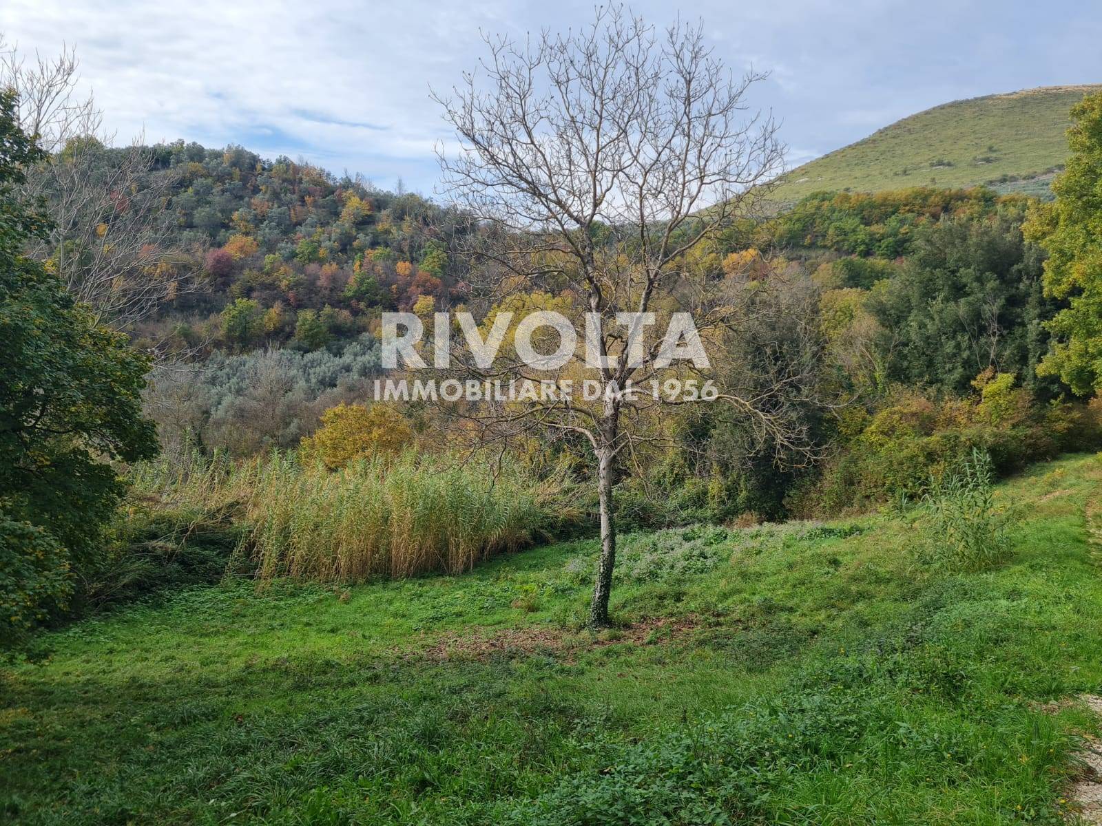 immagine annuncio 2 di 6