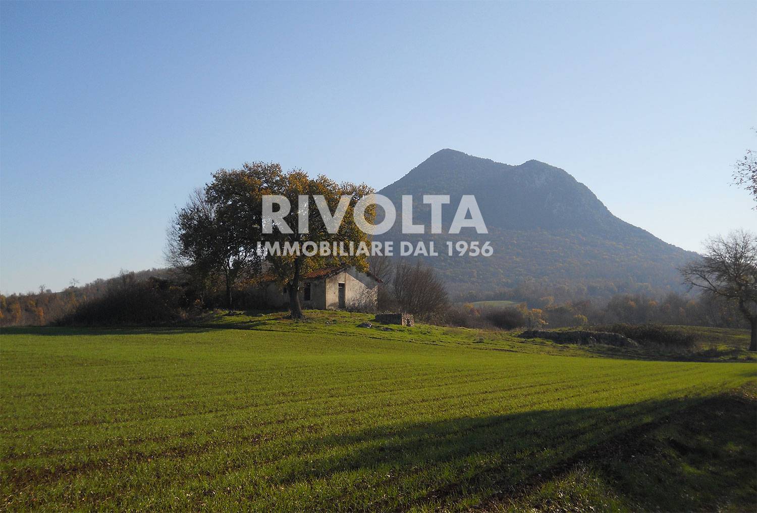 immagine annuncio 3 di 6