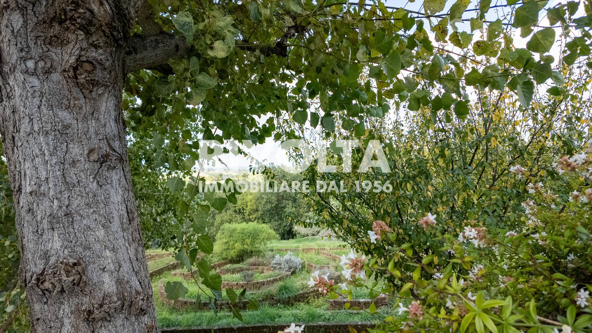 Villa in vendita a Collevecchio, Cicignano