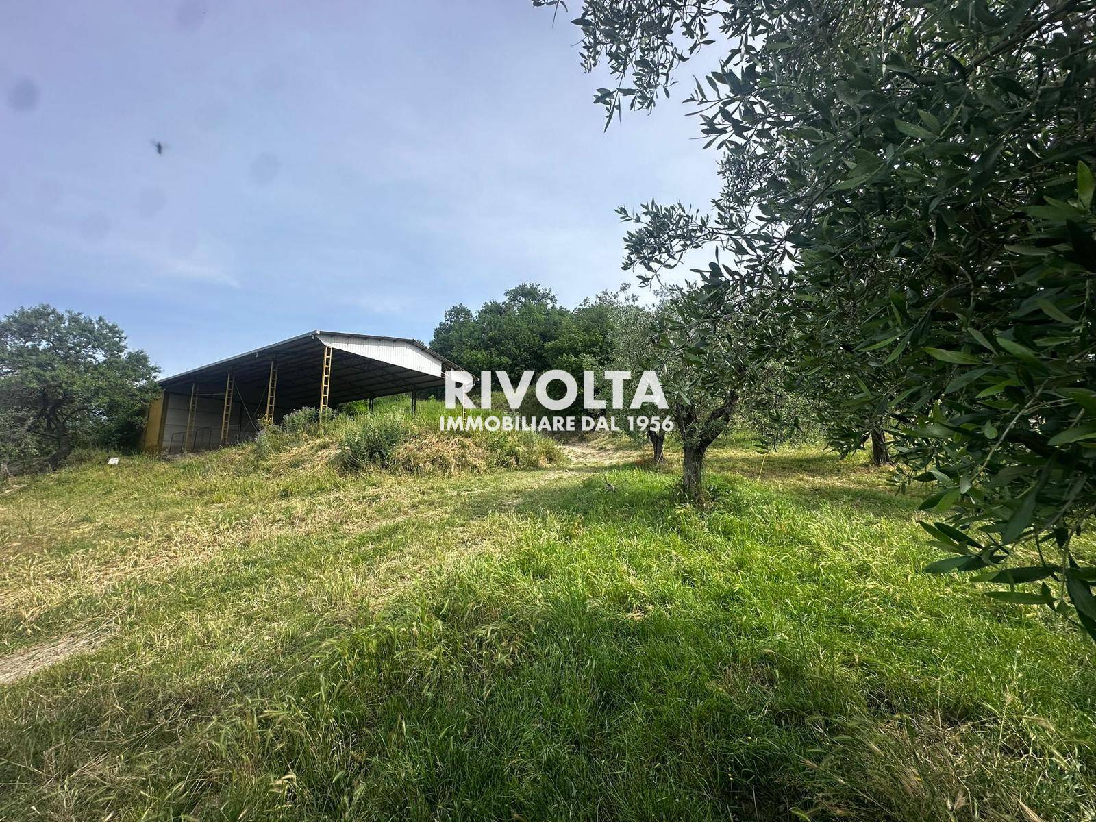 Terreno Agricolo in vendita a Collevecchio, Poggio Sommavilla