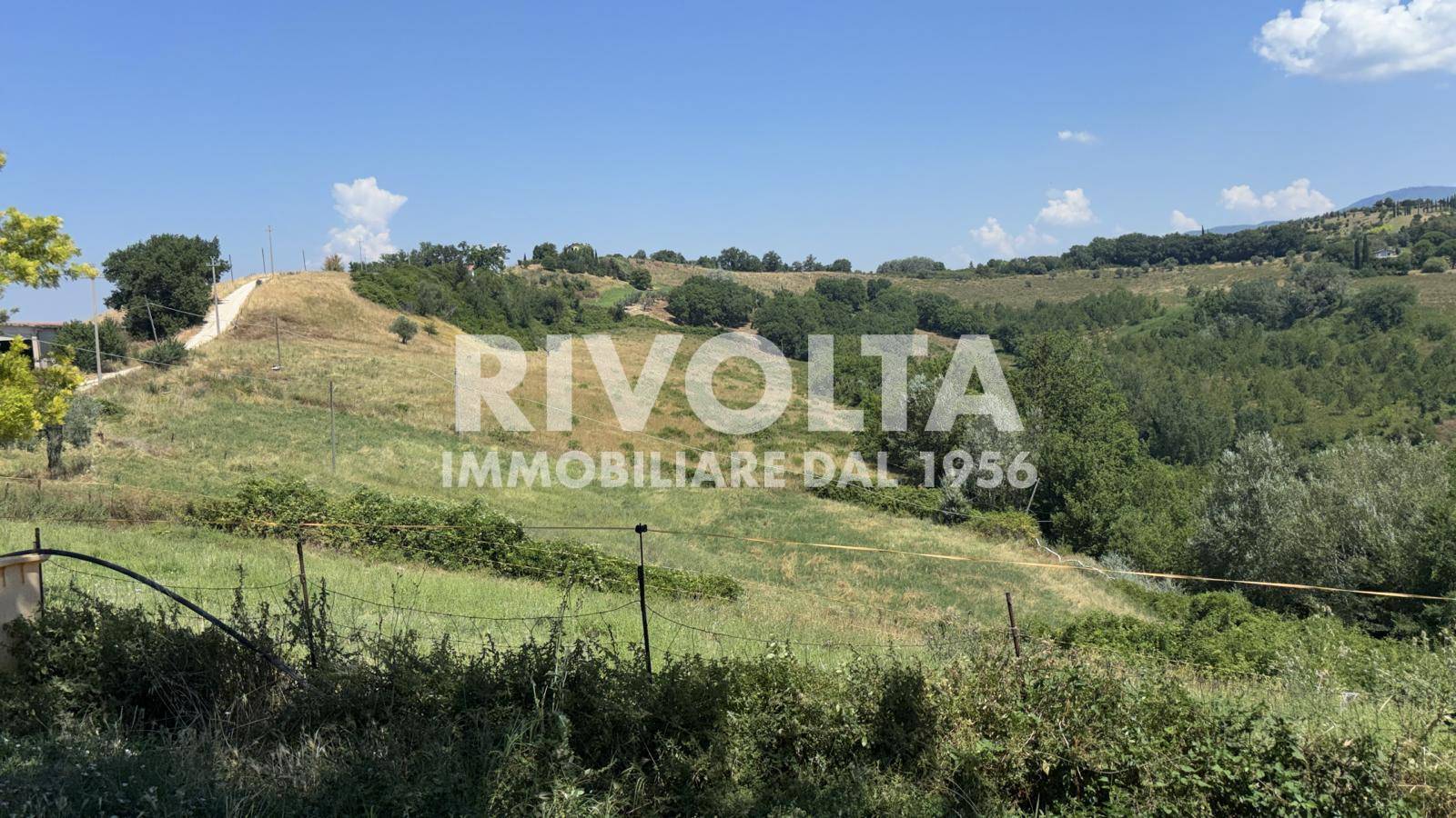 Terreno Agricolo in affitto a Collevecchio