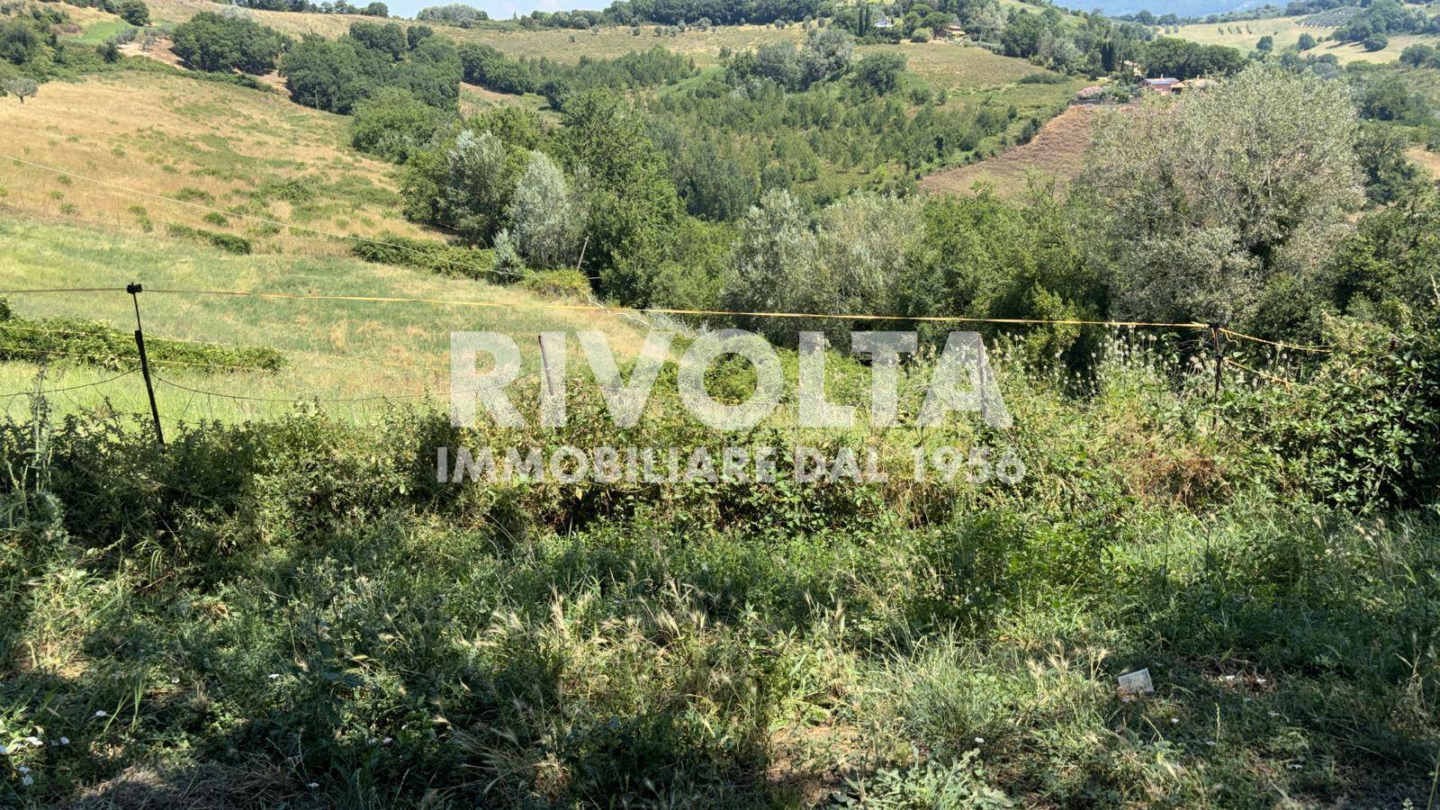 Terreno Agricolo in affitto a Collevecchio