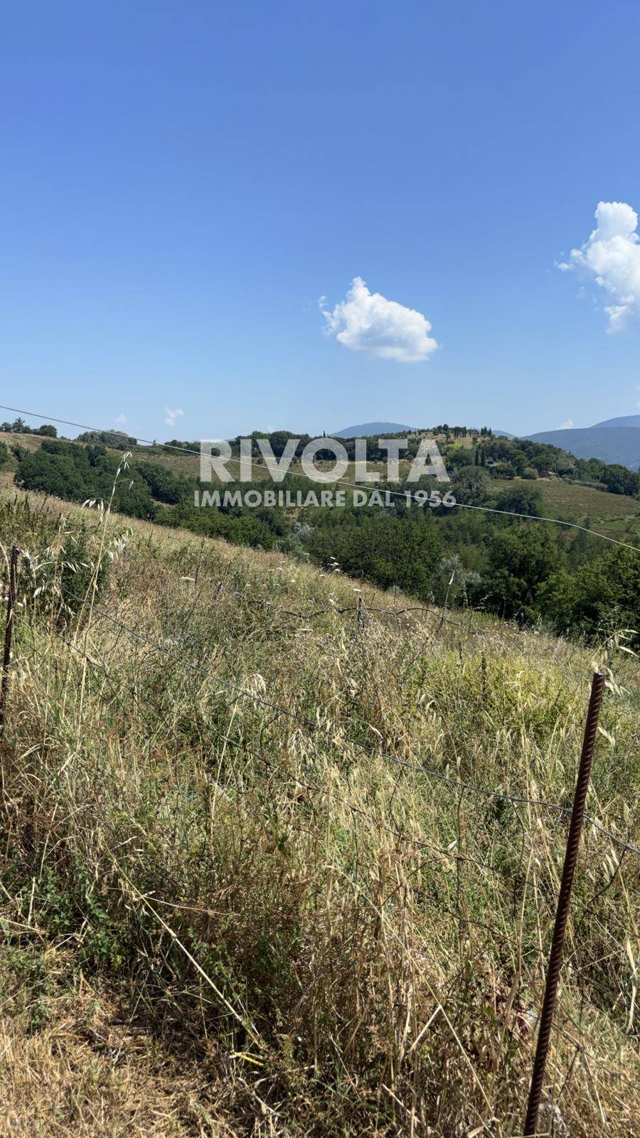 Terreno Agricolo in affitto a Collevecchio
