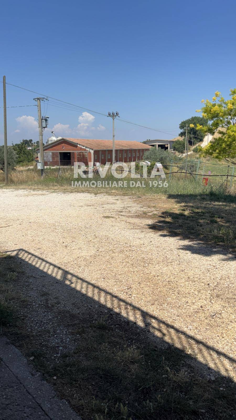 Terreno Agricolo in affitto a Collevecchio