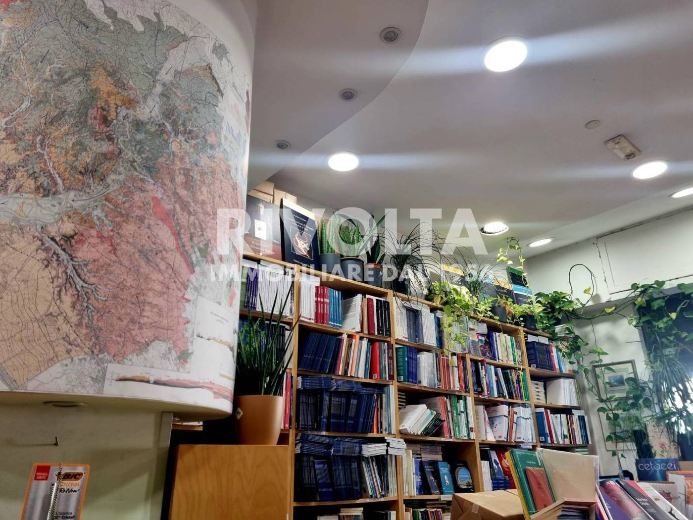 Attivit commerciale in vendita a Roma, Ostiense