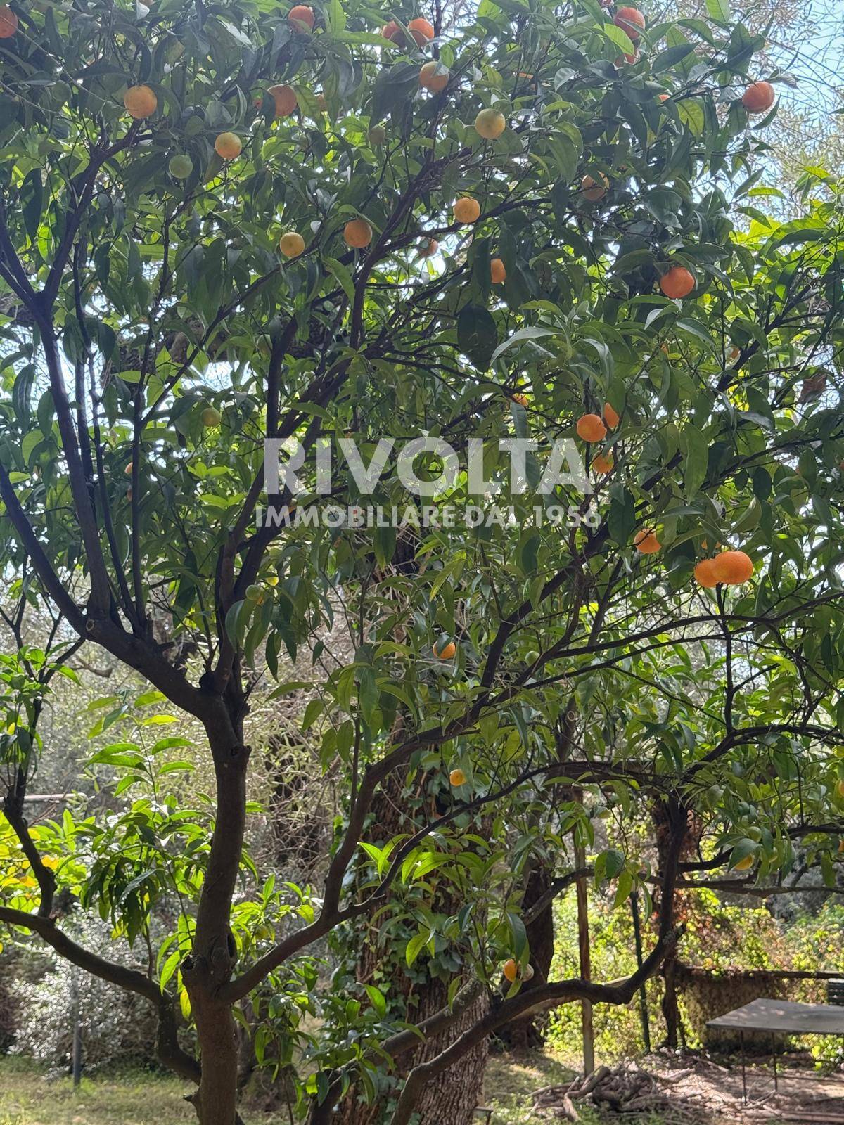 Villa in vendita a Sperlonga