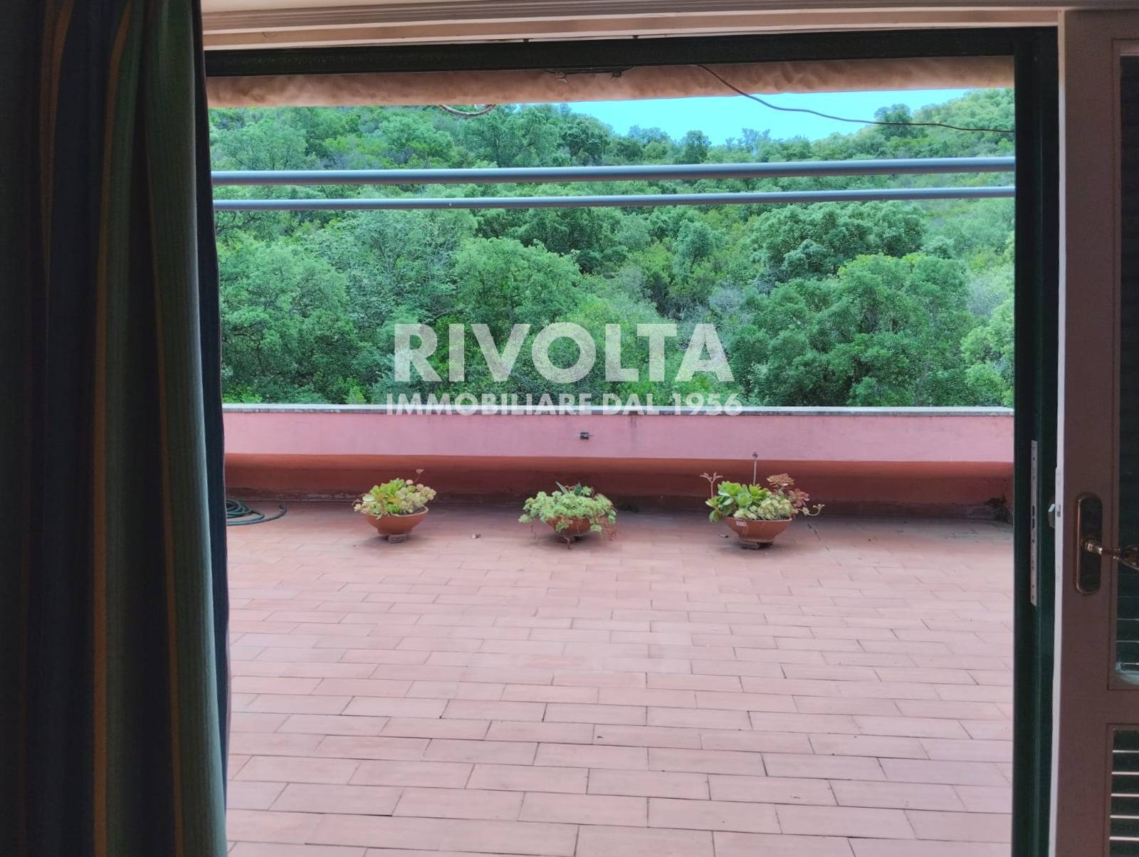 appartamento in affitto a Monte Argentario in zona Porto Ercole