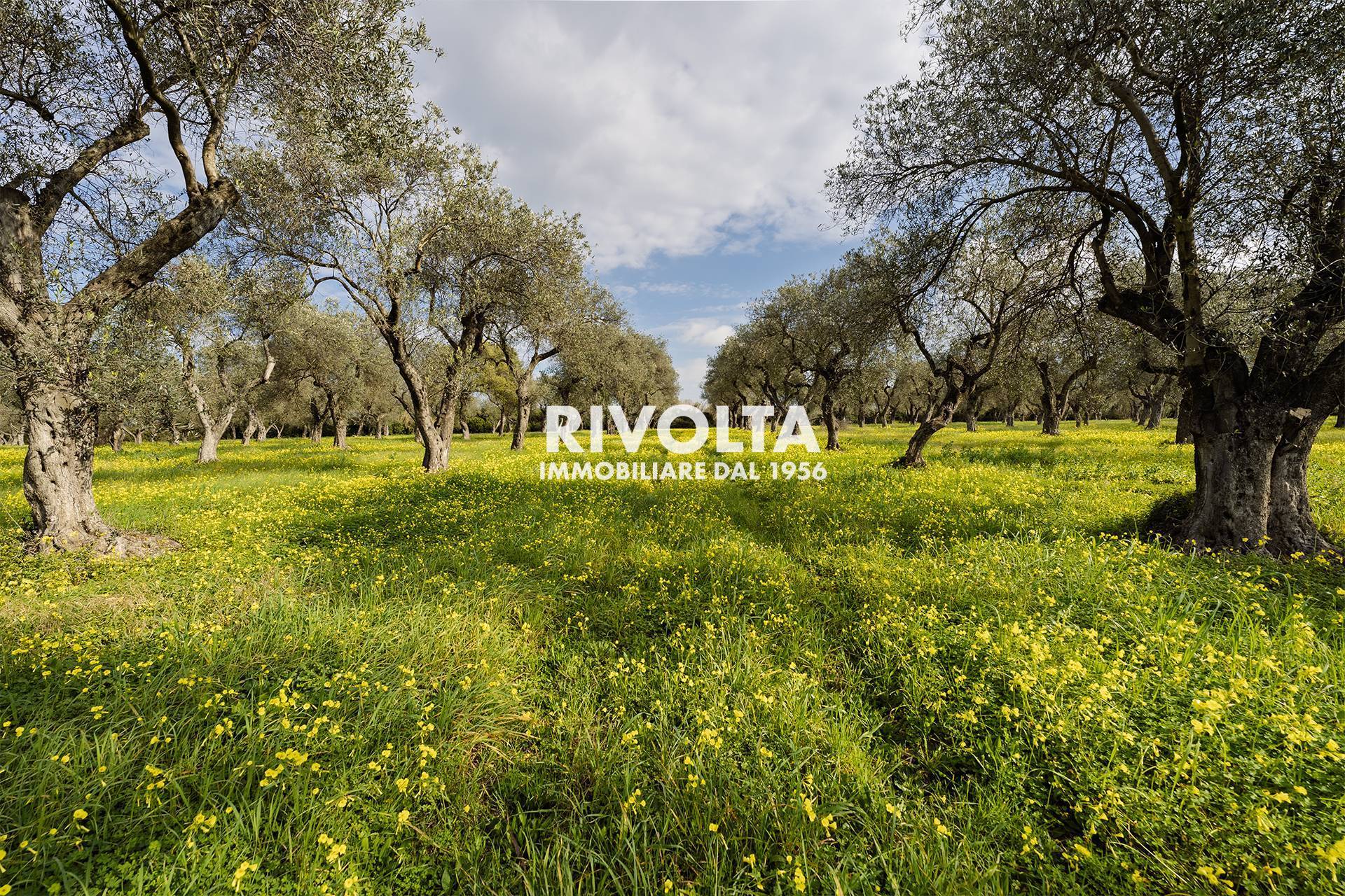 Terreno Agricolo in vendita a Alghero, Fertilia