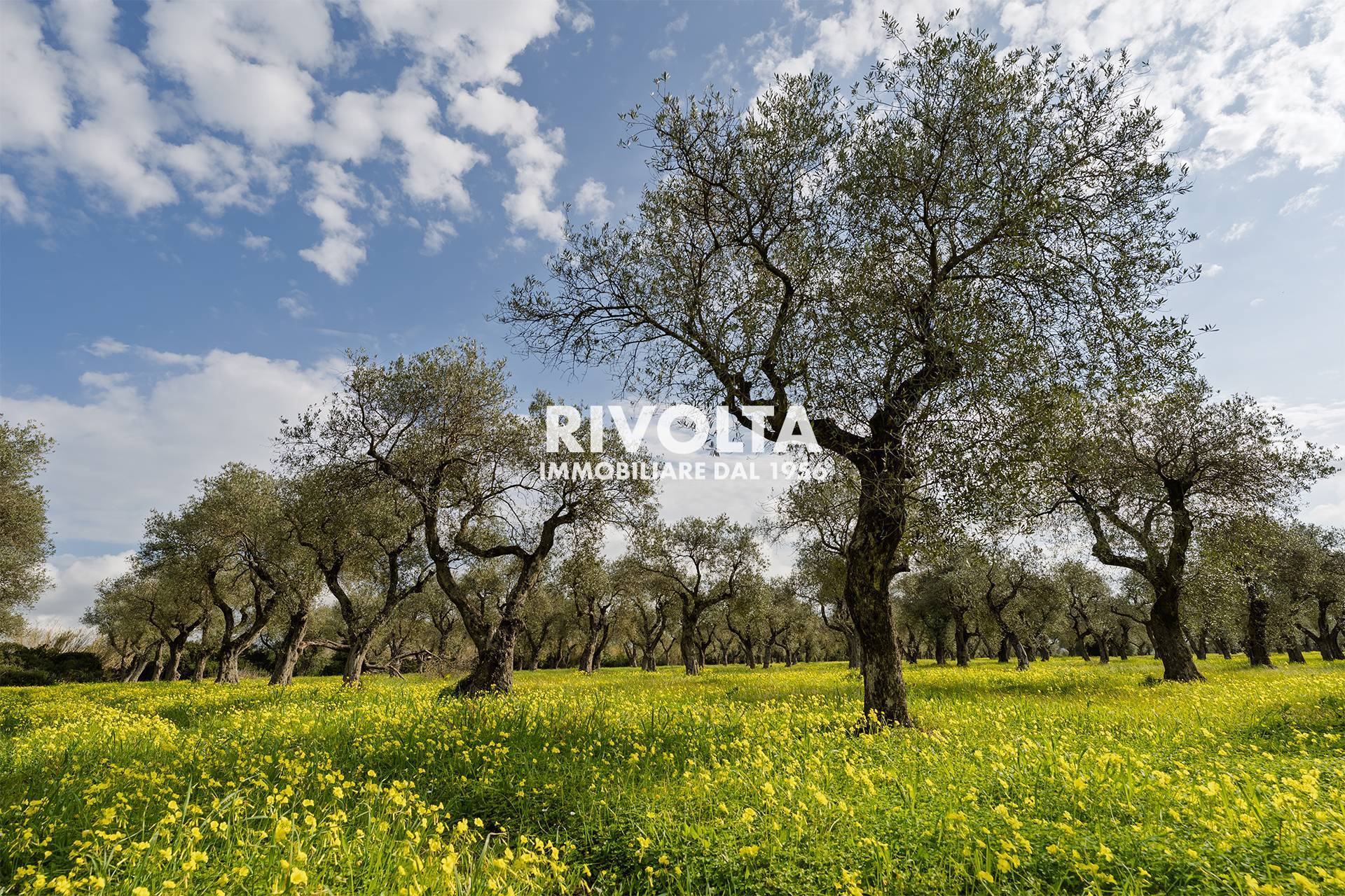 Terreno Agricolo in vendita a Alghero, Fertilia