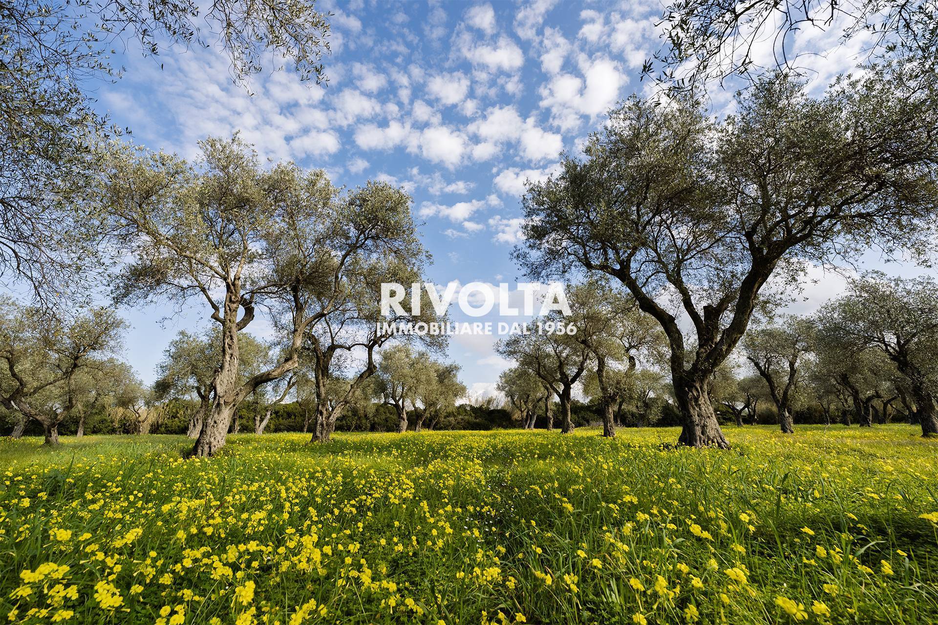 Terreno Agricolo in vendita a Alghero, Fertilia