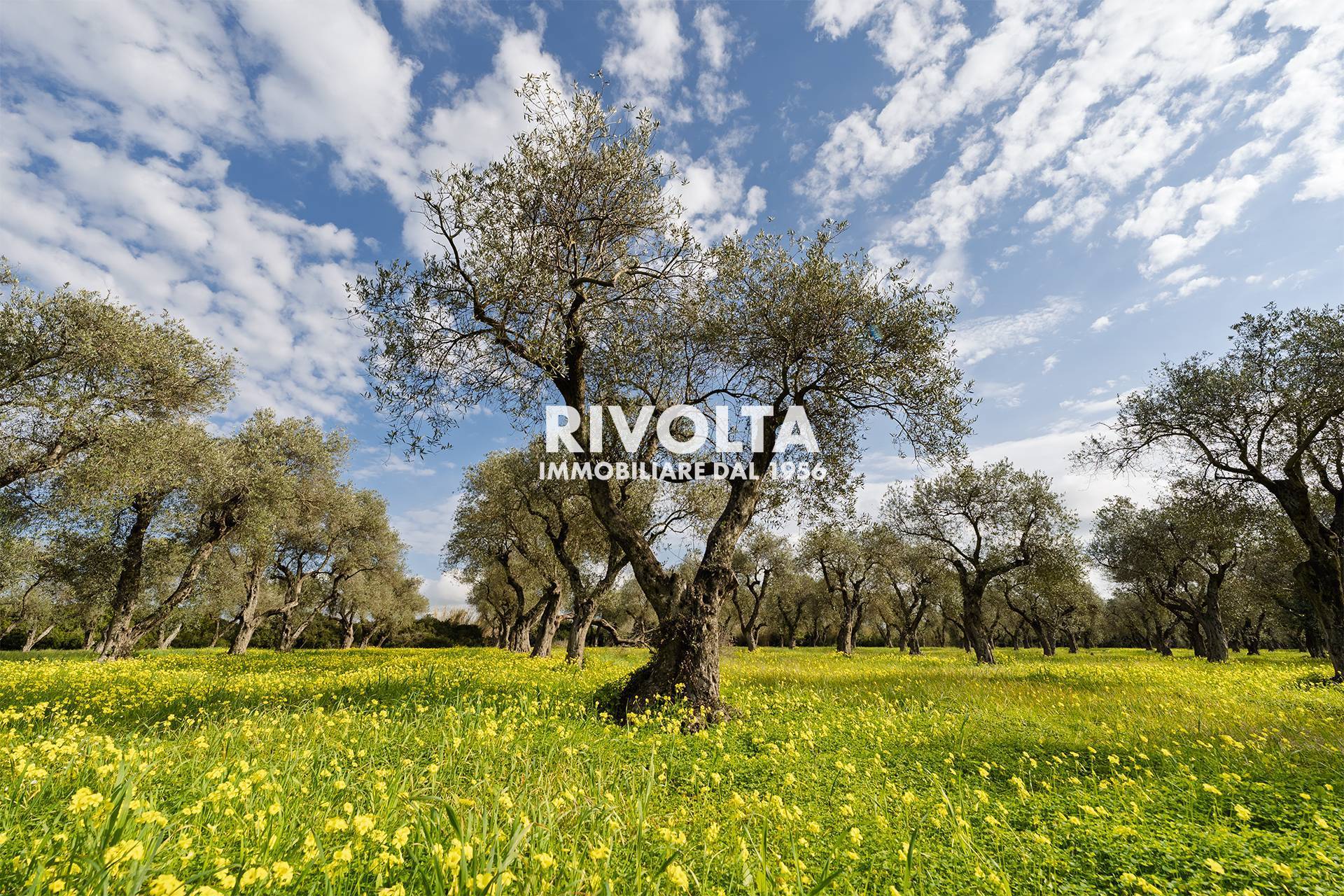 Terreno Agricolo in vendita a Alghero, Fertilia