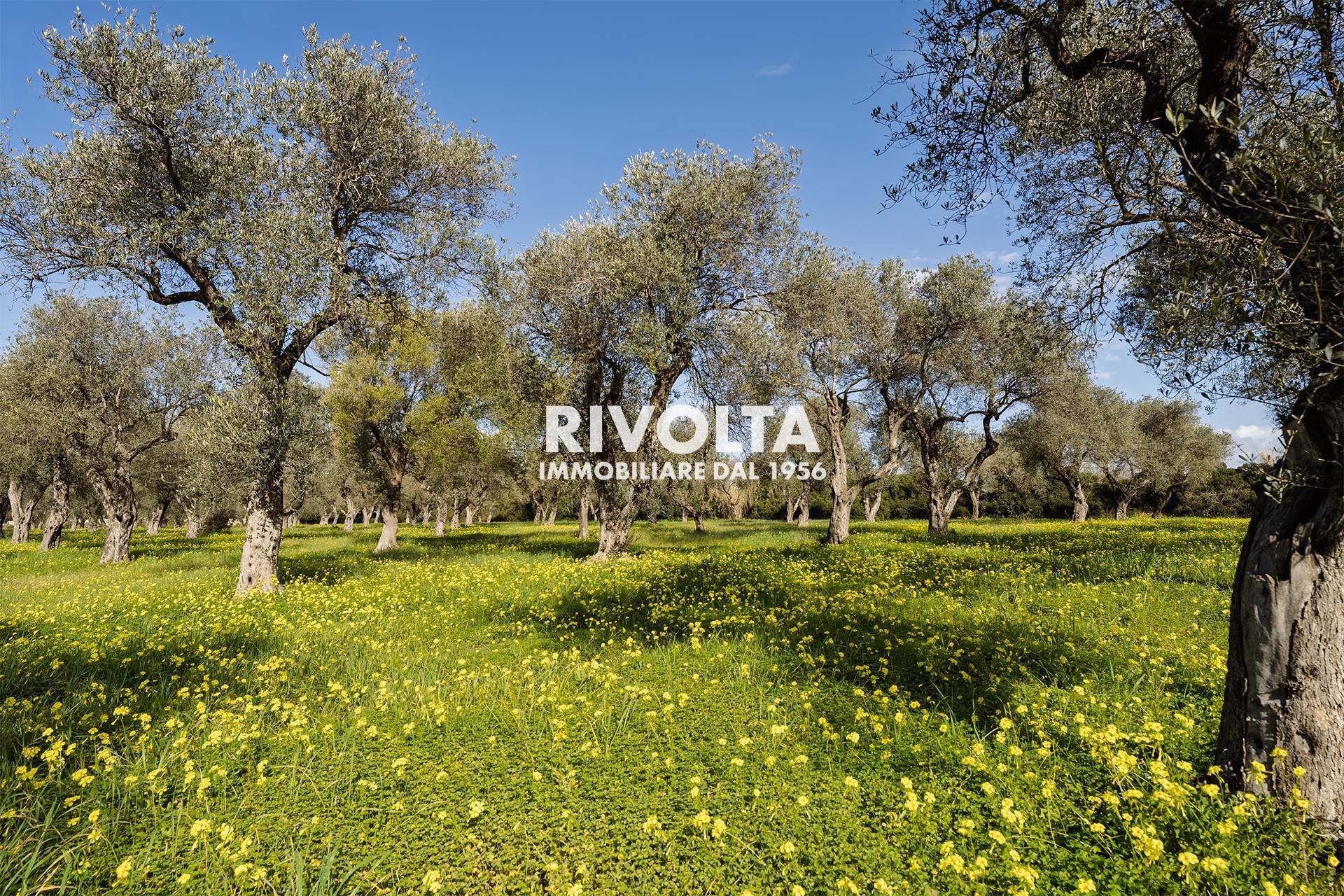 Terreno Agricolo in vendita a Alghero, Fertilia
