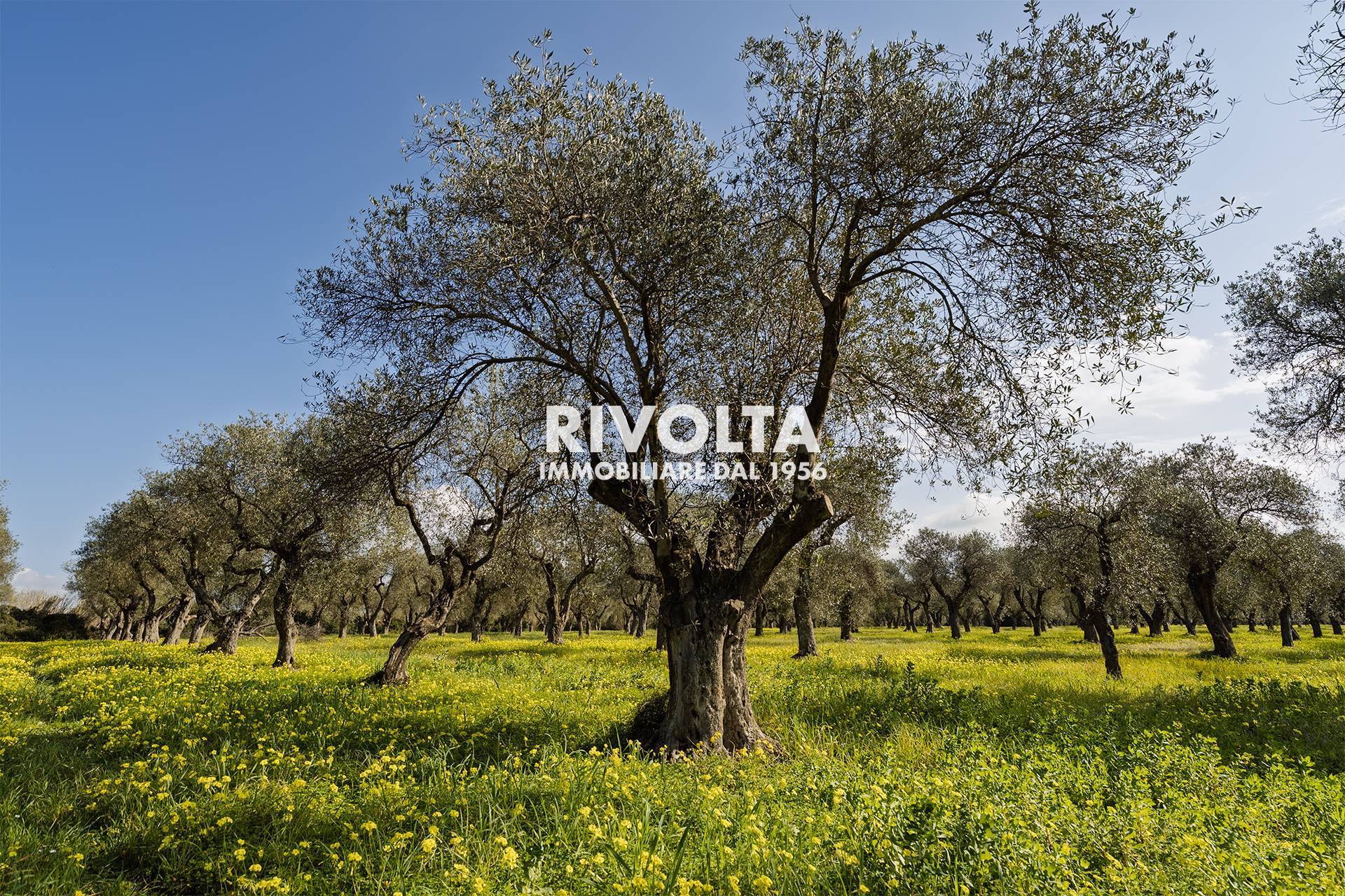 Terreno Agricolo in vendita a Alghero, Fertilia