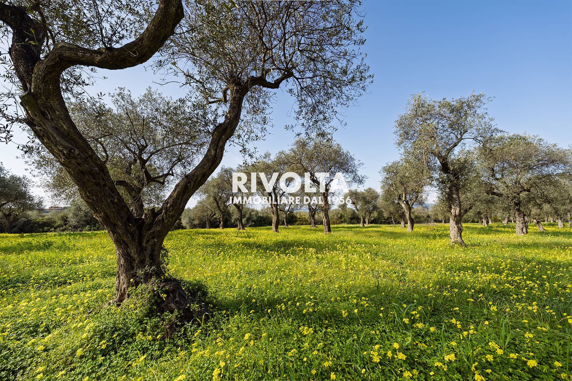 Terreno Agricolo in vendita a Alghero, Fertilia