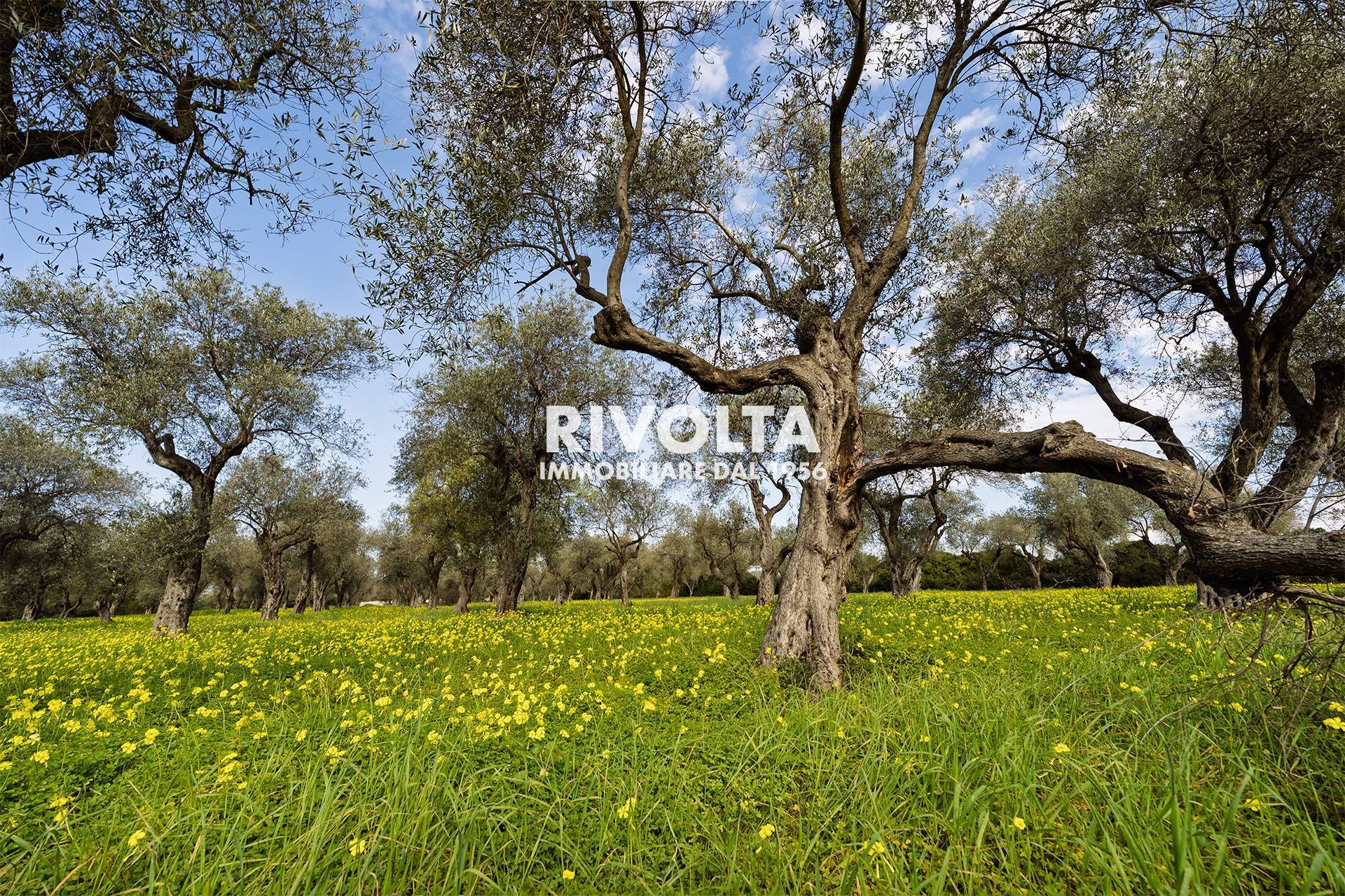 Terreno Agricolo in vendita a Alghero, Fertilia