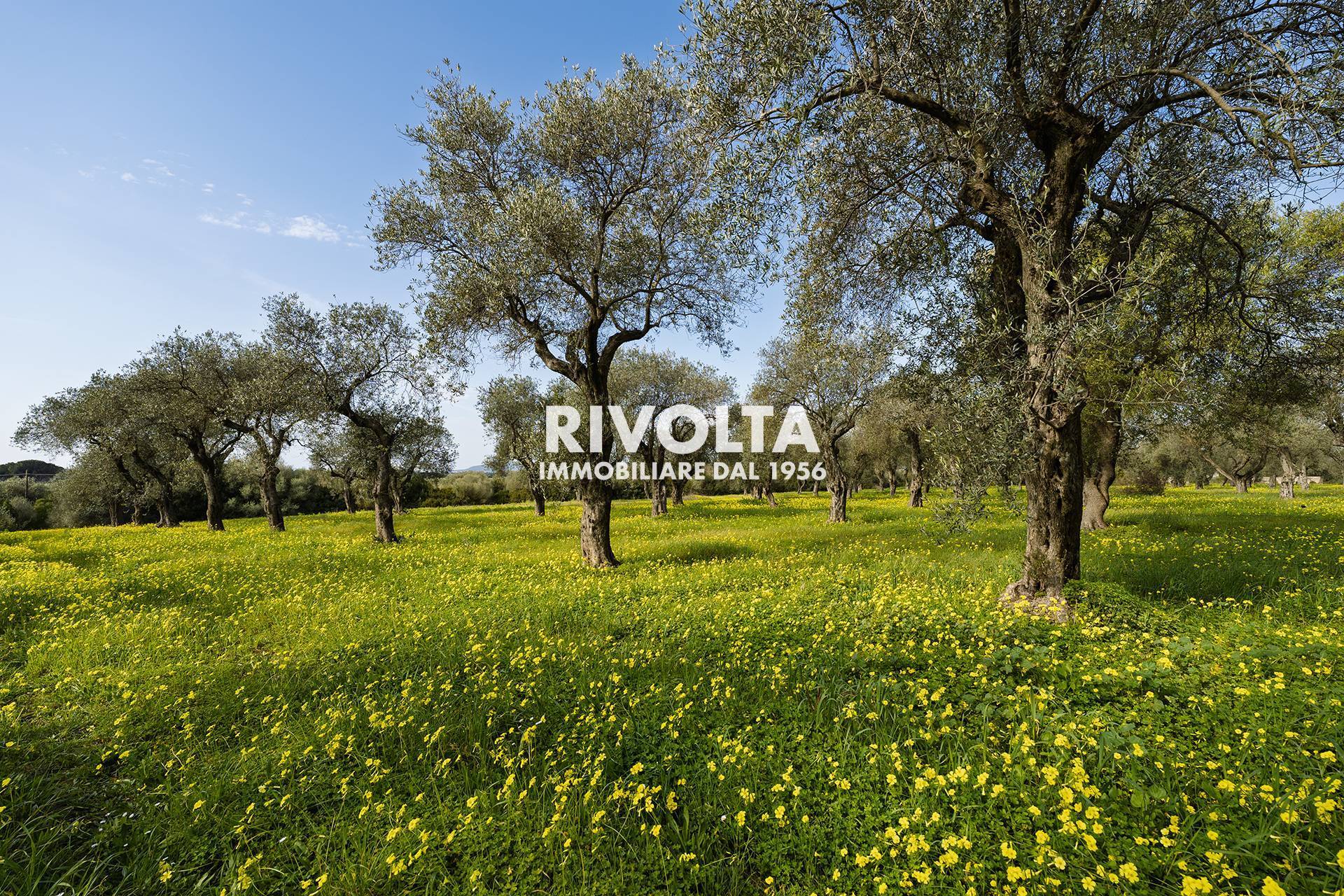 Terreno Agricolo in vendita a Alghero, Fertilia