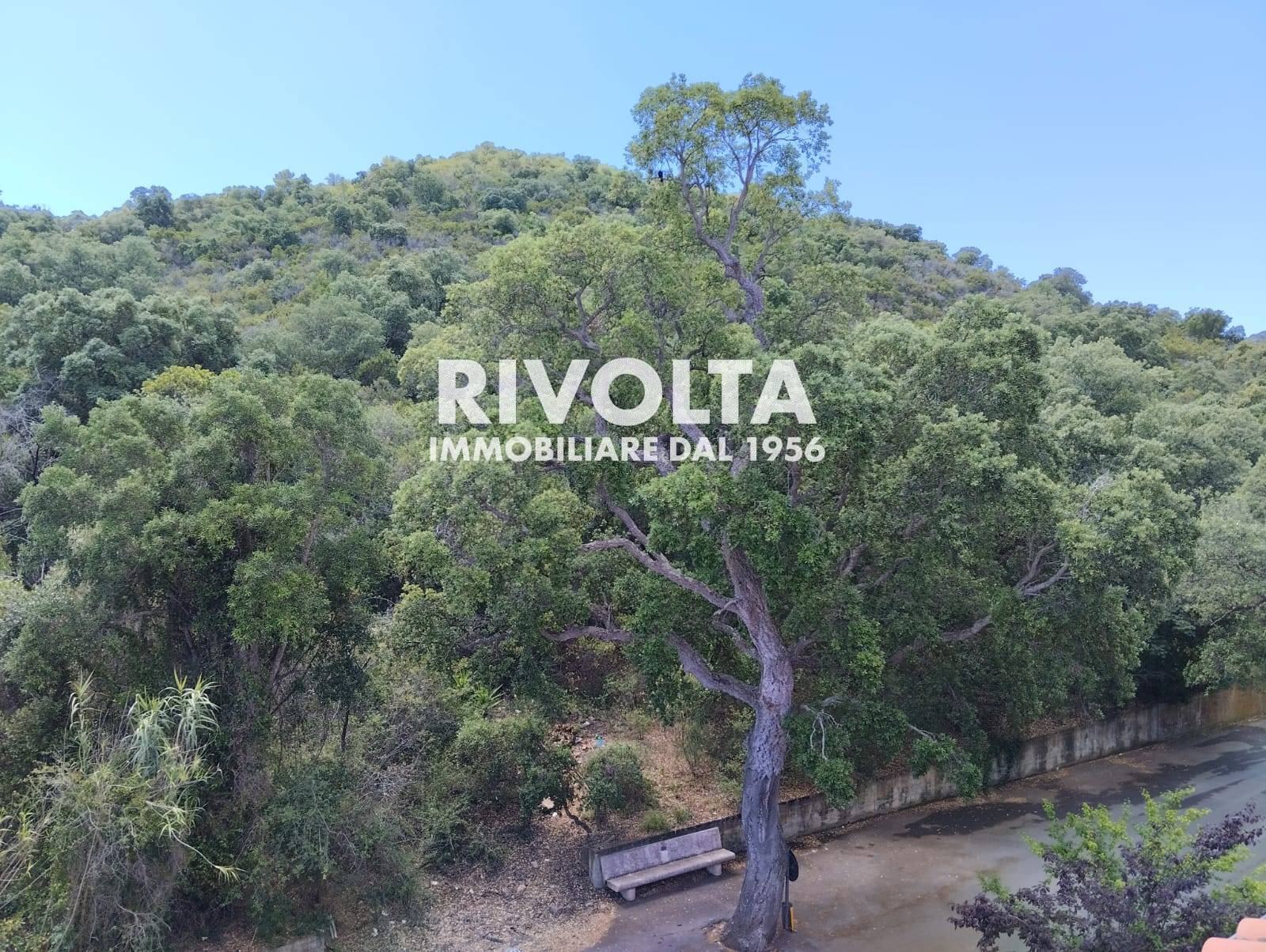 Attico e superattico in affitto a Monte Argentario, Porto Ercole