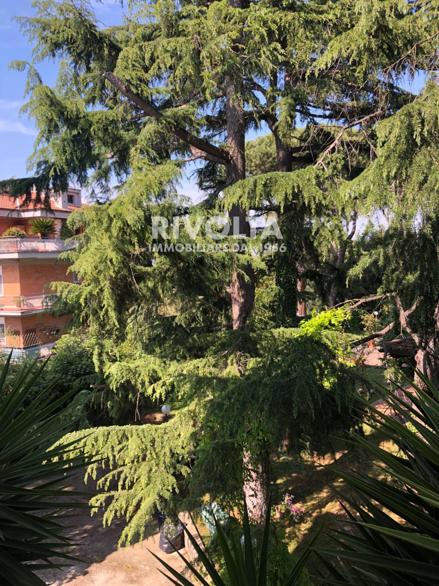 Appartamento in affitto a Roma, Giustiniana