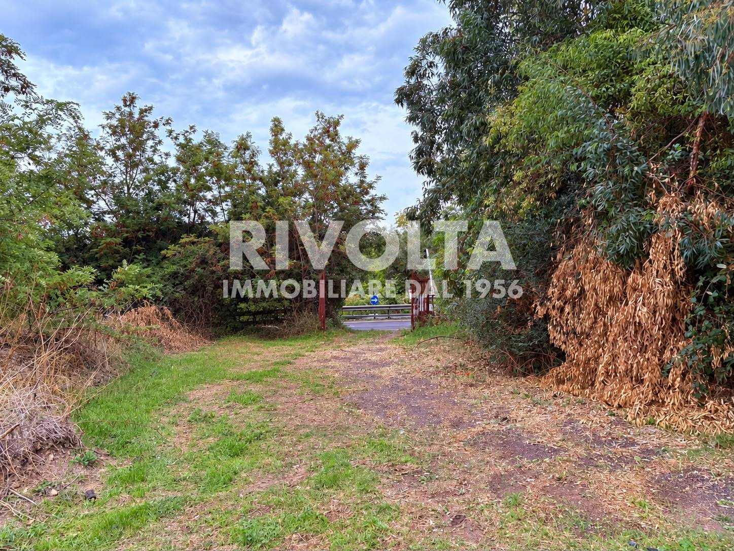 Terreno Agricolo in vendita a Roma, Tuscolano