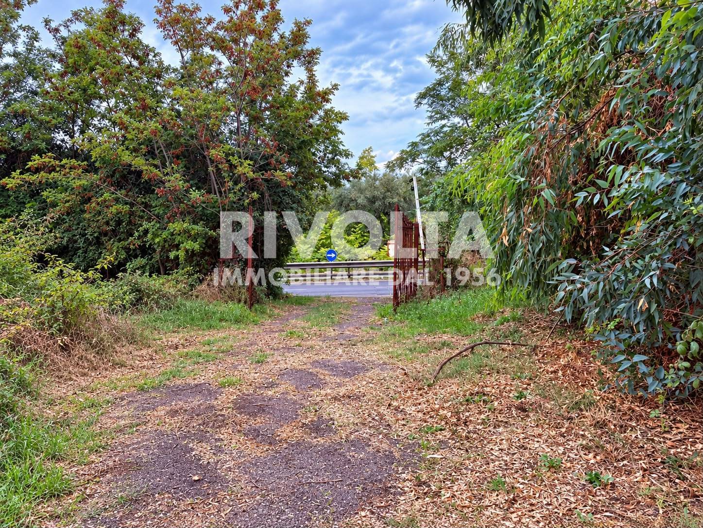 Terreno Agricolo in vendita a Roma, Tuscolano