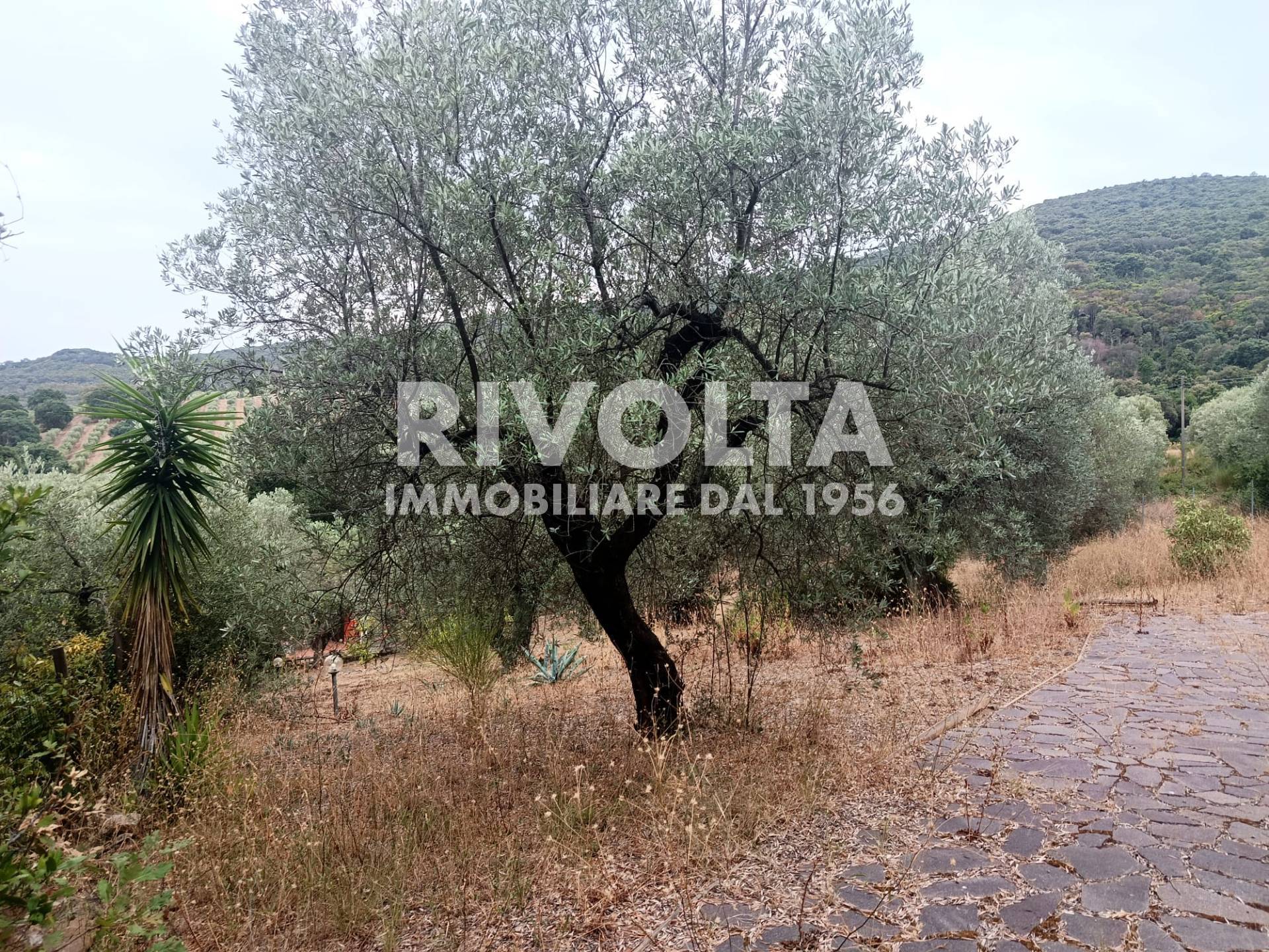 Terreno Agricolo in vendita a Monte Argentario, Porto Ercole