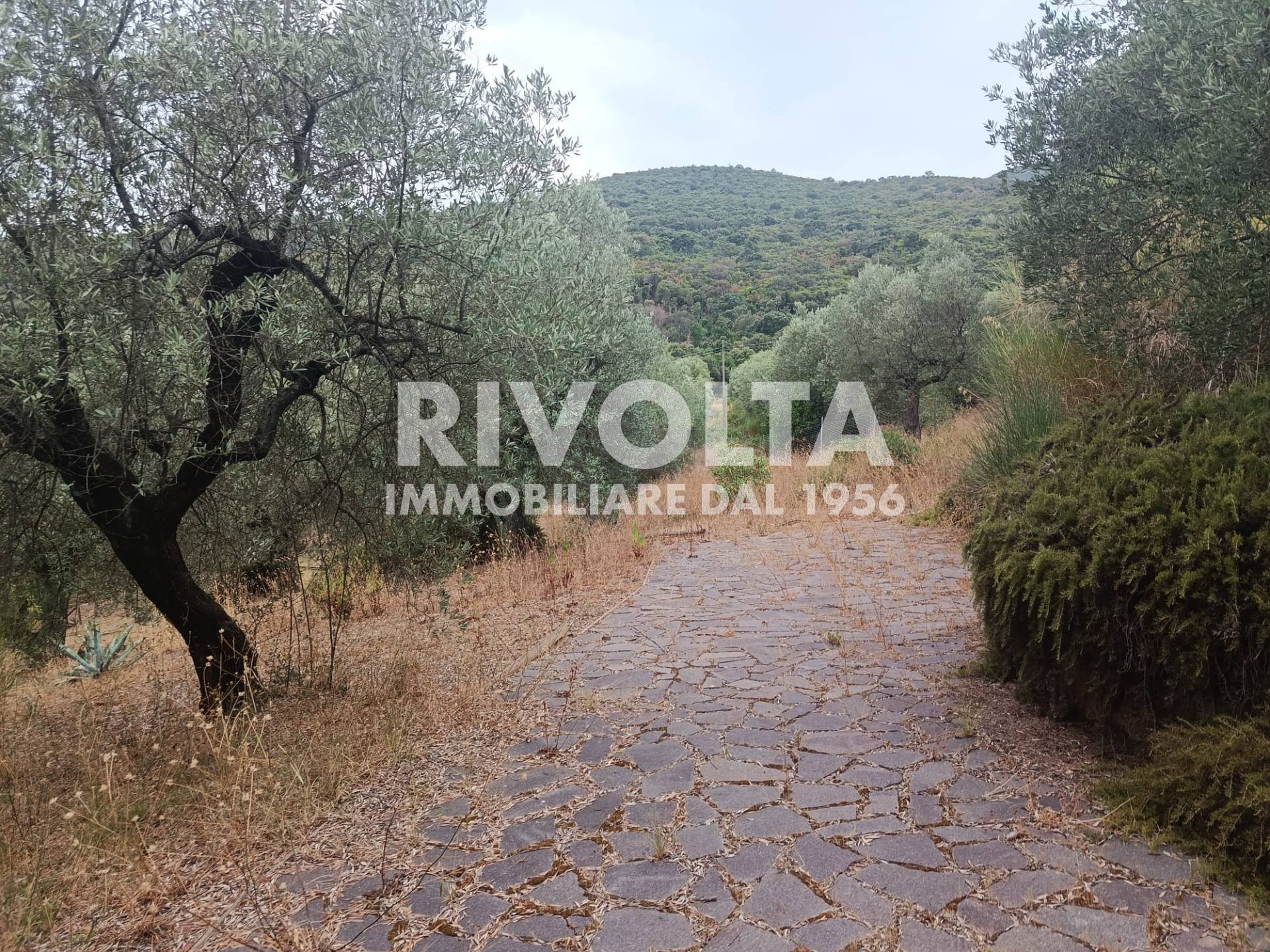 Terreno Agricolo in vendita a Monte Argentario, Porto Ercole