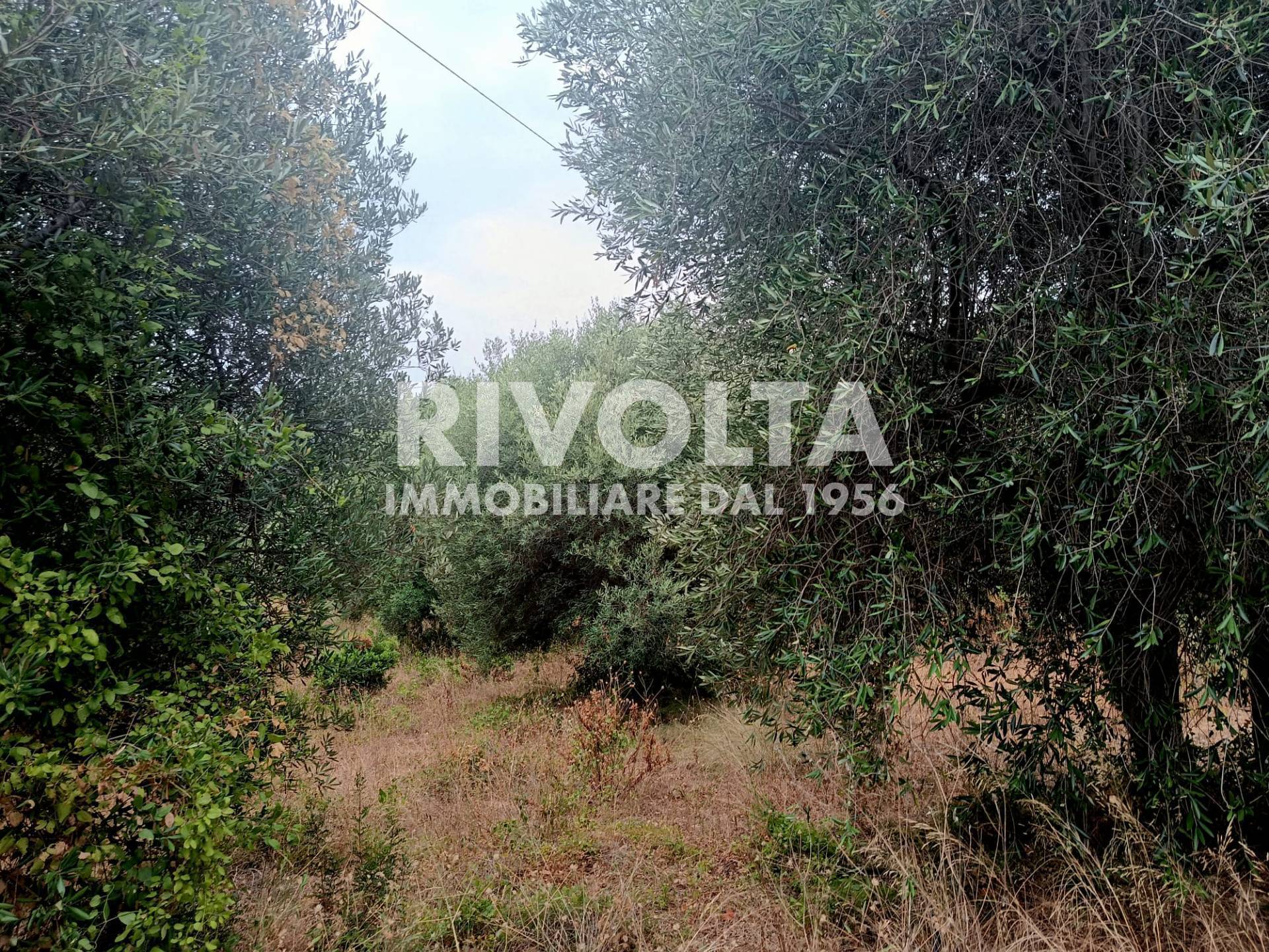 Terreno Agricolo in vendita a Monte Argentario, Porto Ercole