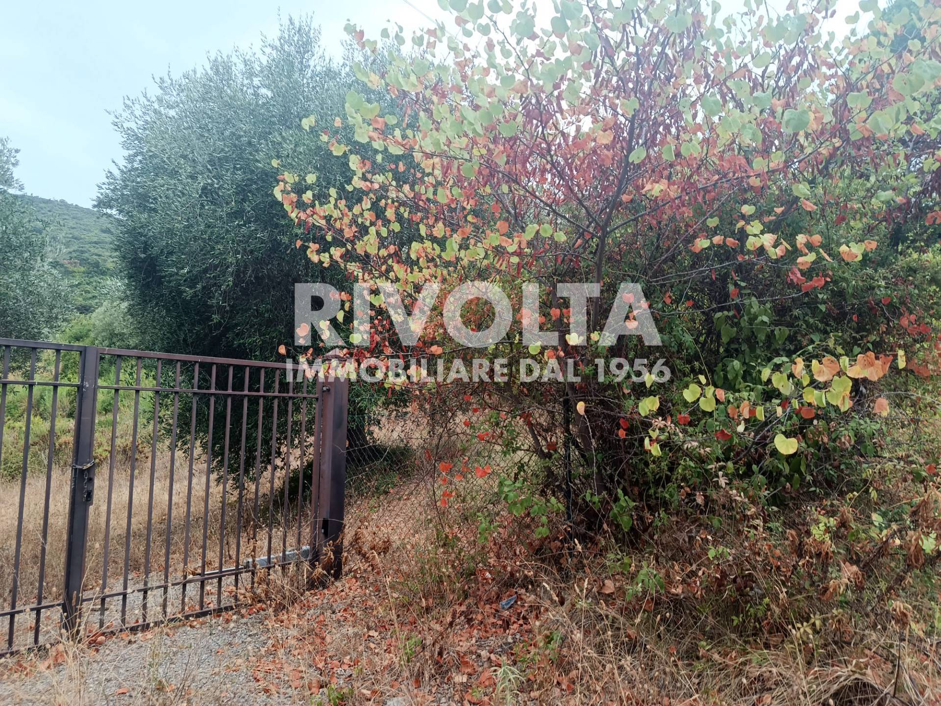 Terreno Agricolo in vendita a Monte Argentario, Porto Ercole