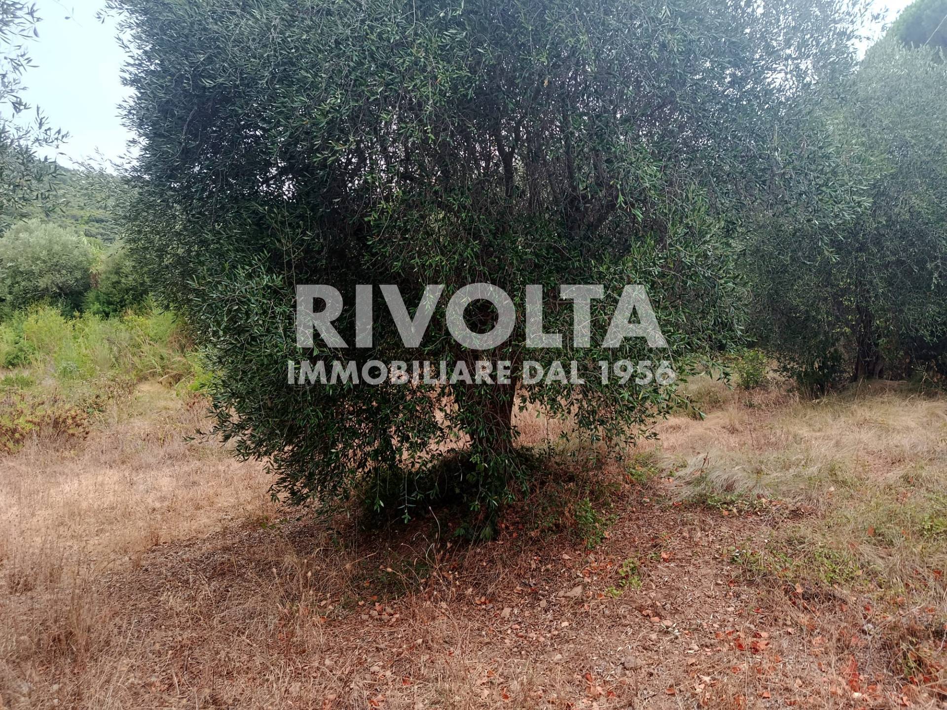 Terreno Agricolo in vendita a Monte Argentario, Porto Ercole