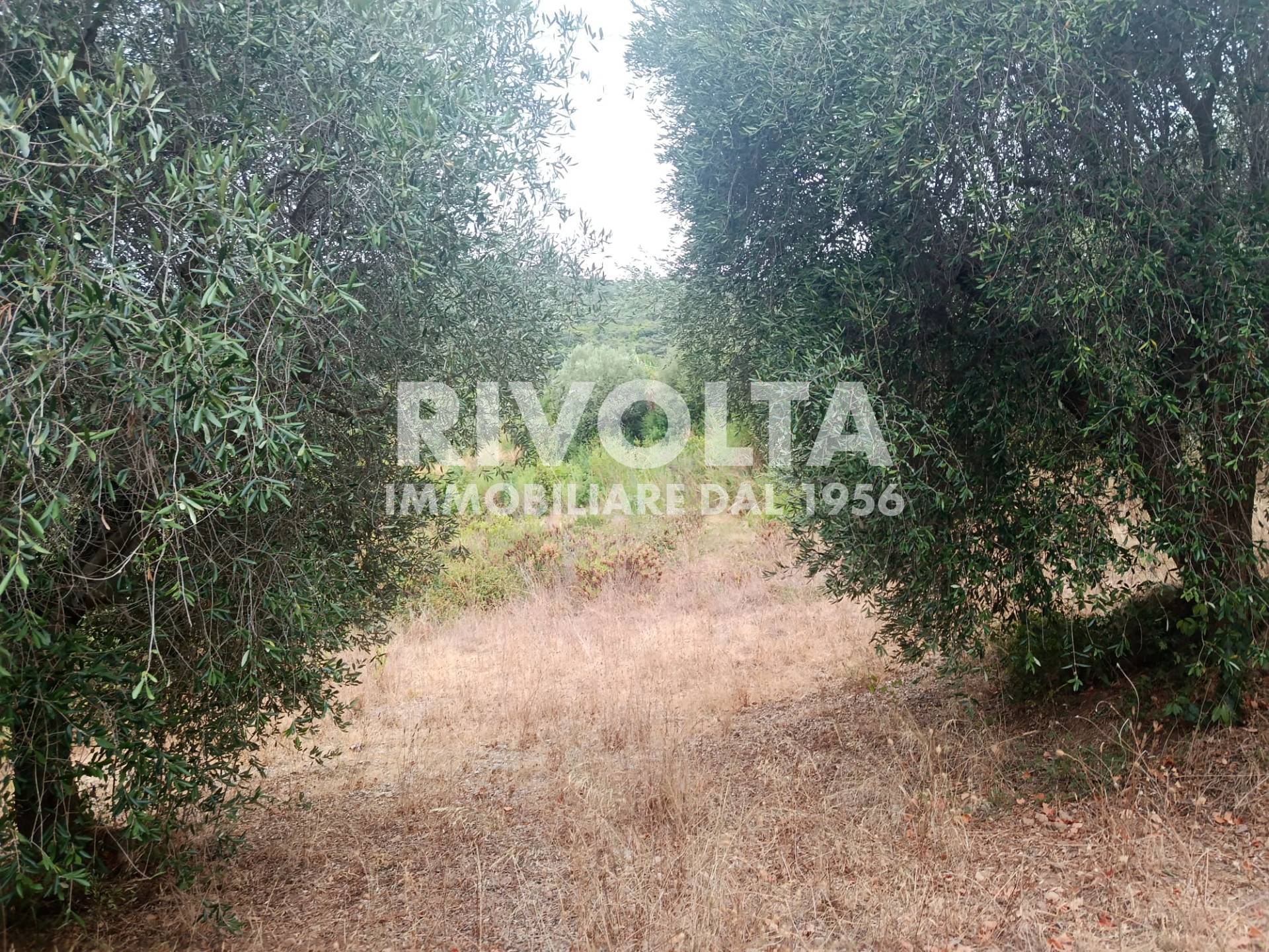 Terreno Agricolo in vendita a Monte Argentario, Porto Ercole