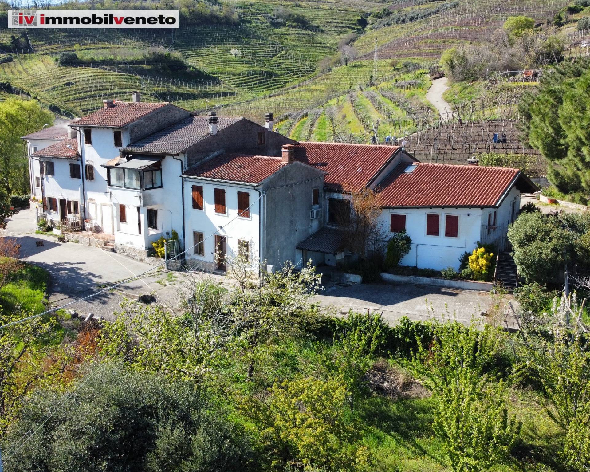 Villa in vendita, Monteforte d'Alpone brognoligo