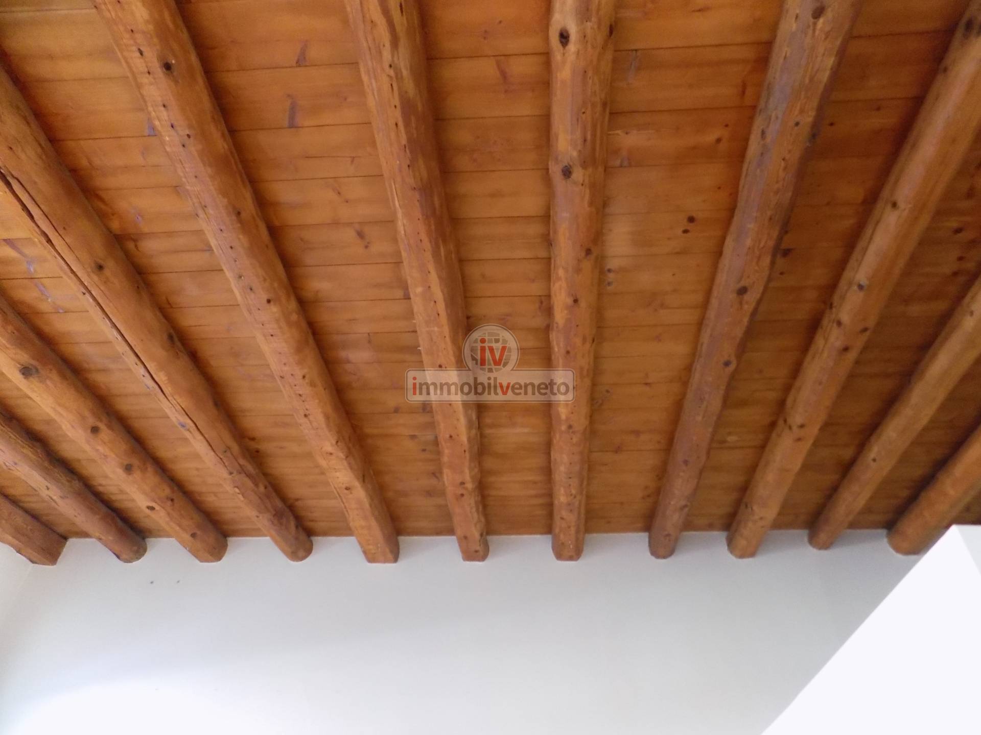 Attivit commerciale in affitto a Lonigo