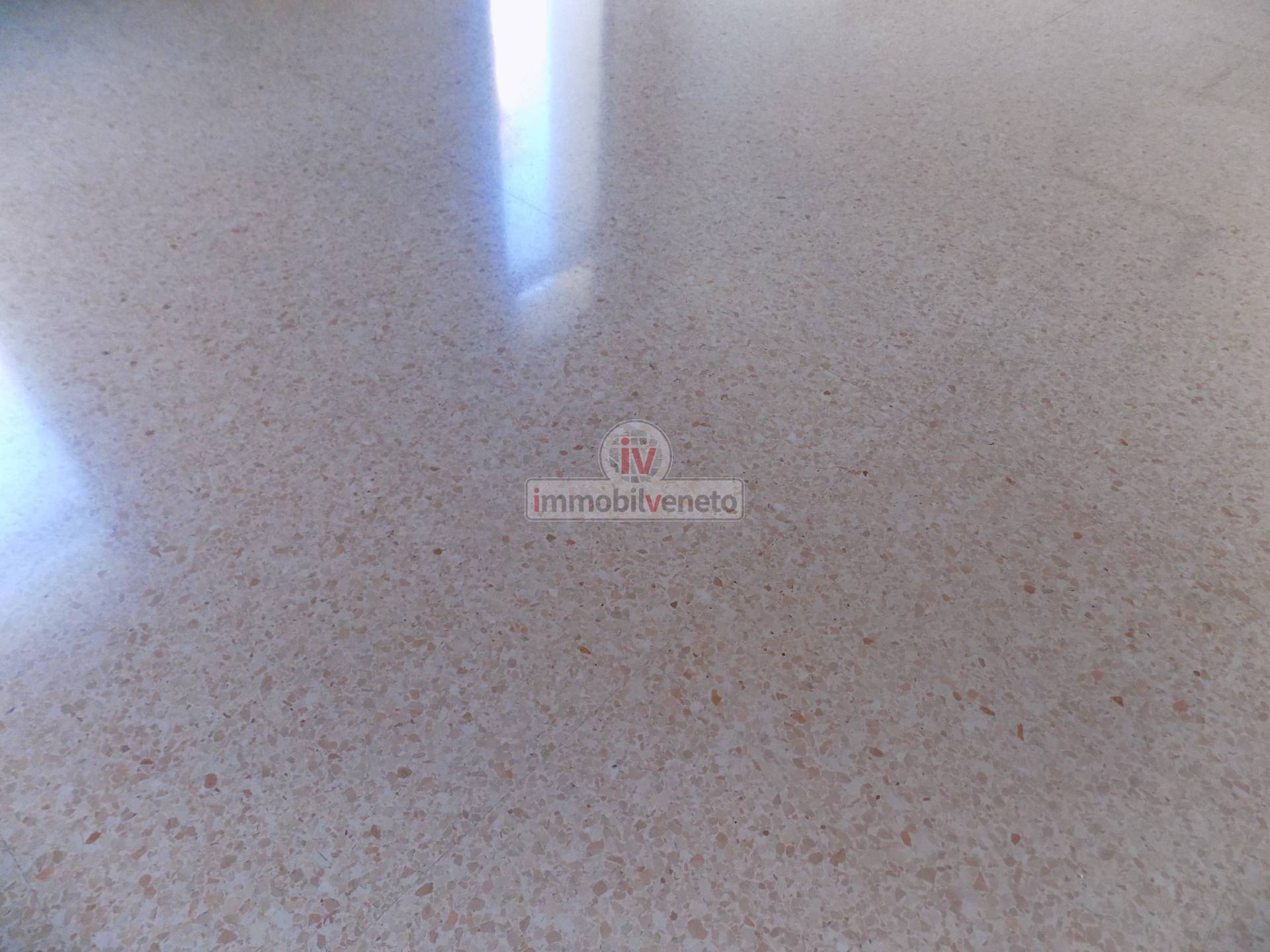 Attivit commerciale in affitto a Lonigo