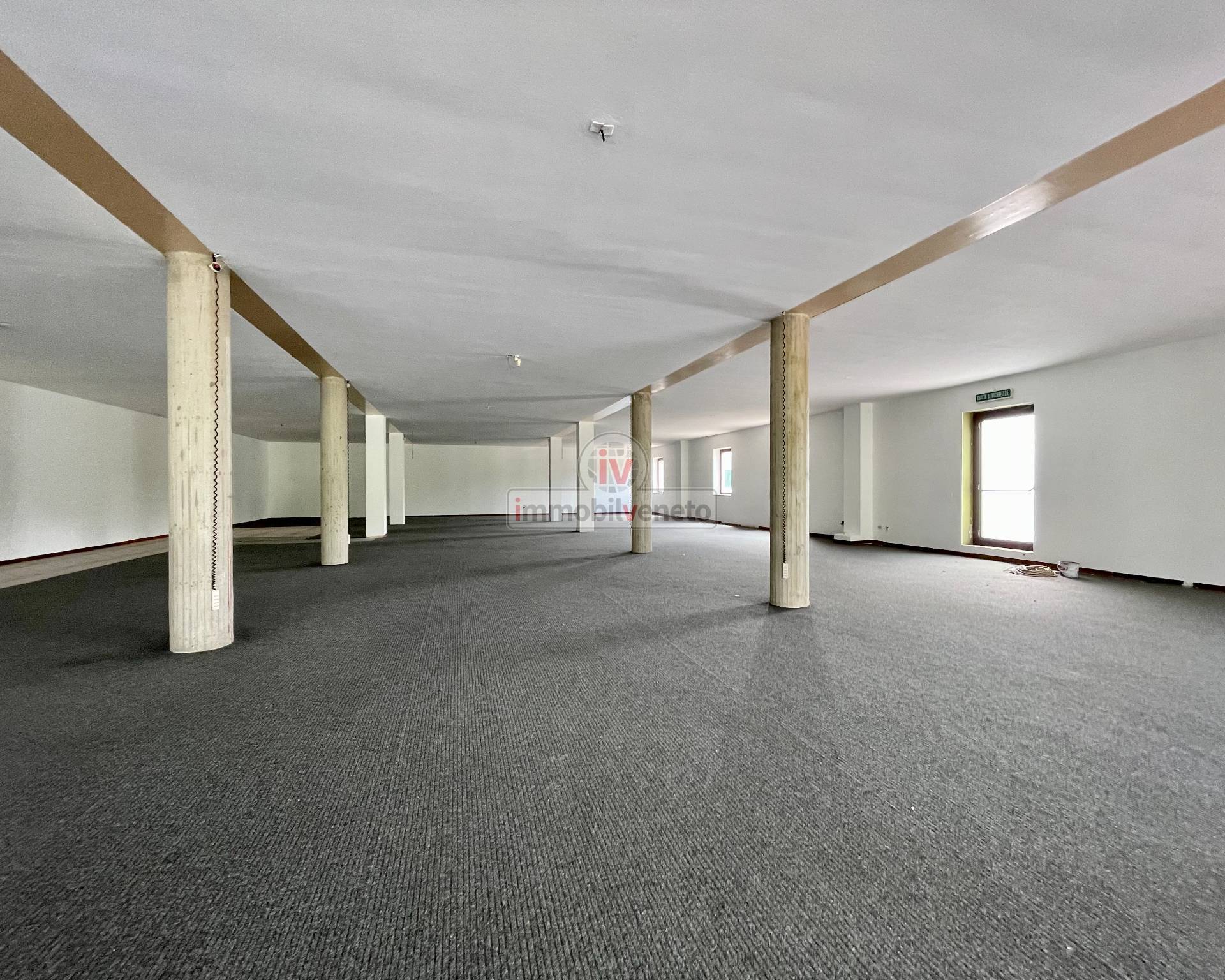 Capannone in vendita a Alonte