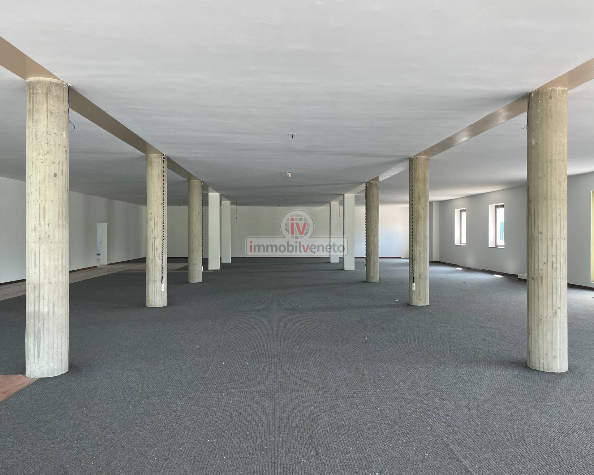 Capannone in vendita a Alonte